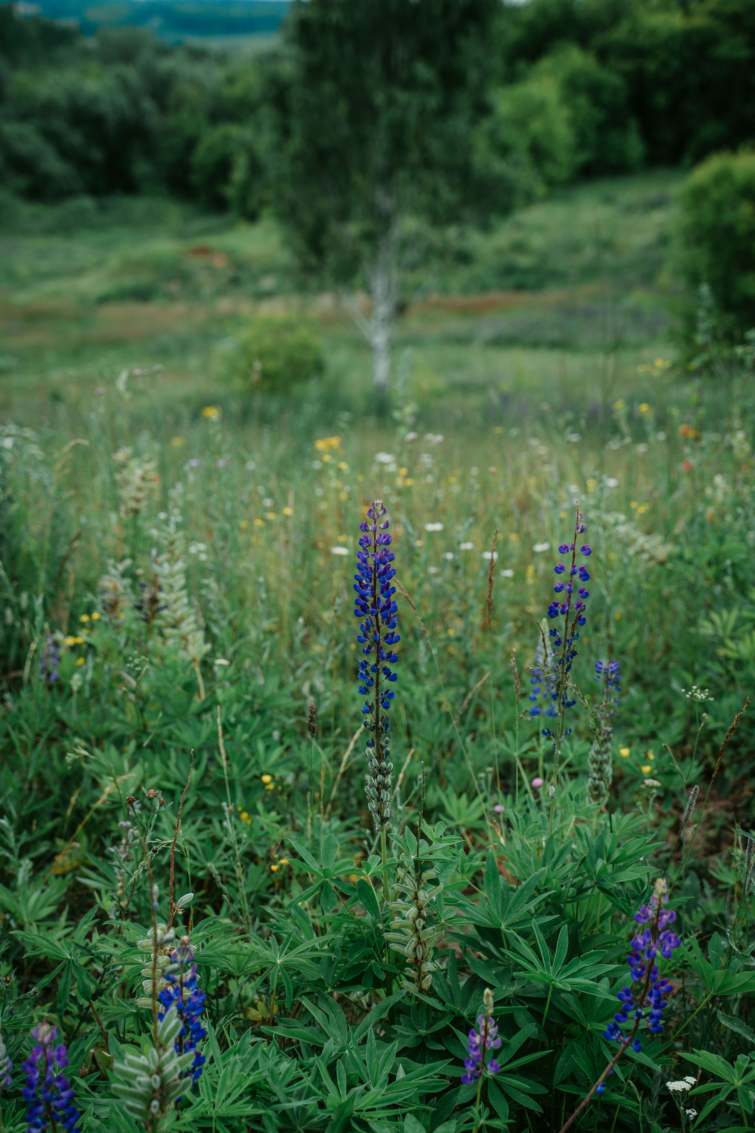 Гектария. Встреча лидеров мнений / 2023. Саша Копылов, фотограф в Казани