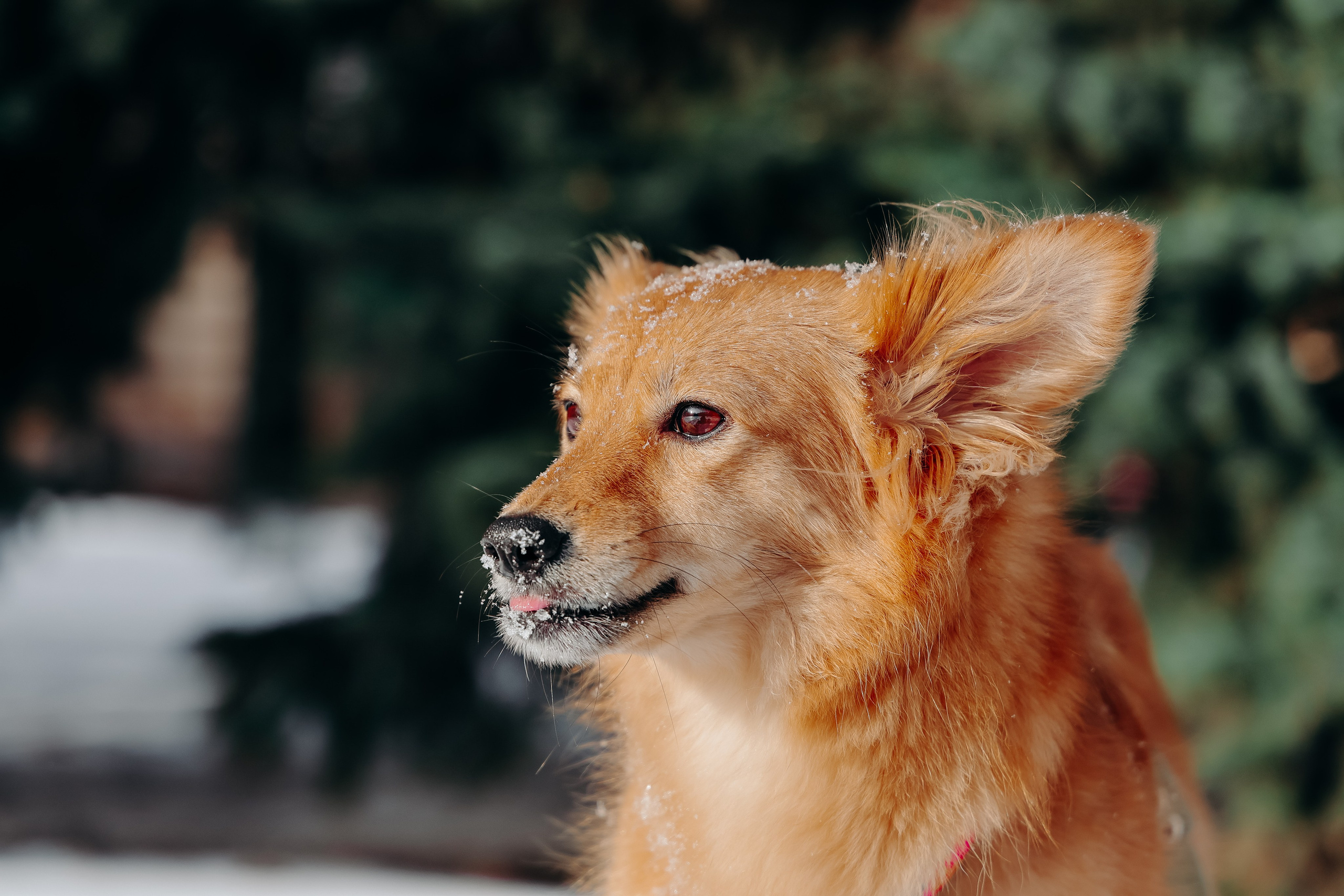 Кнопа. Валерия Гуртовая | Фотограф, Санкт-Петербург