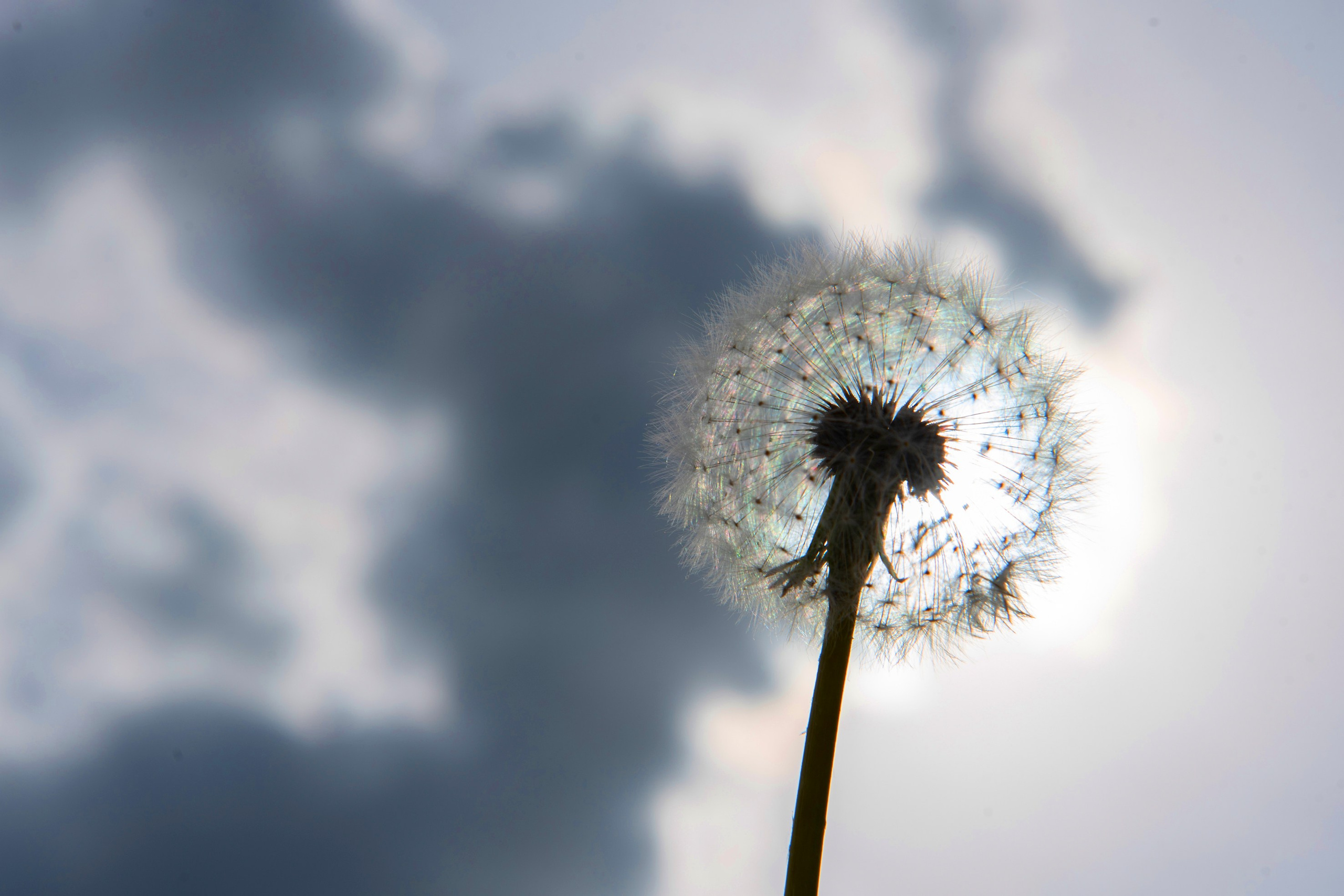 Природа. Команда фотографов Кристины Ивановой