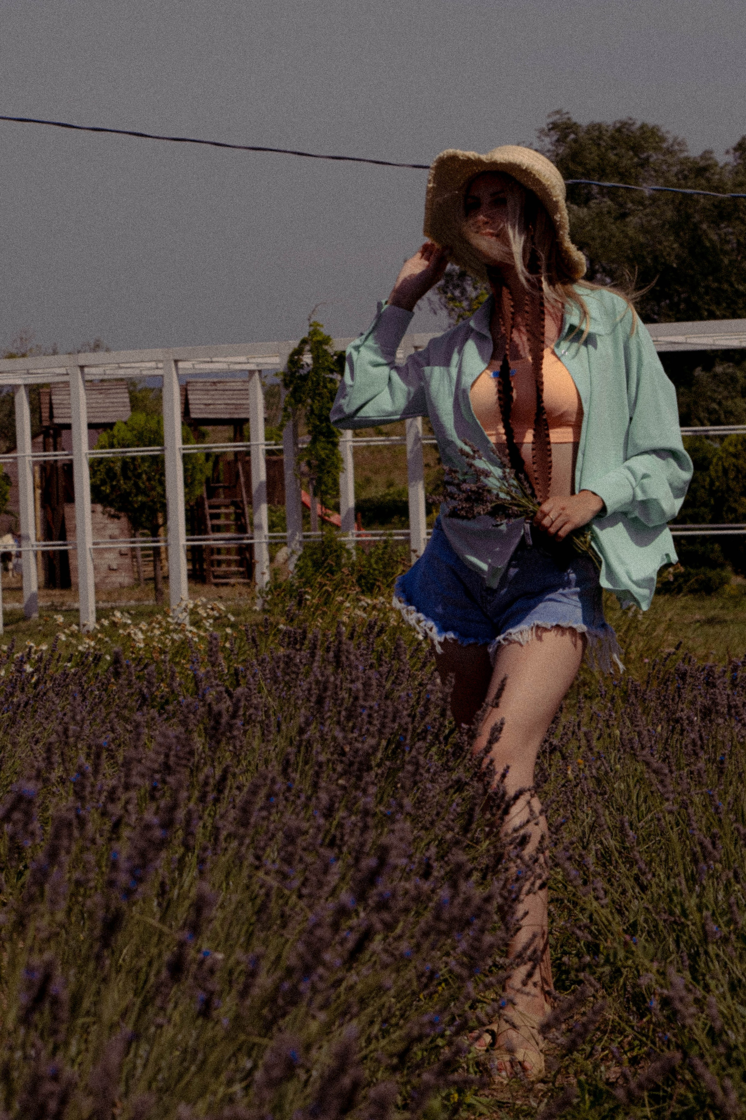 ЛАВАНВОДОВОЕ ПОЛЕ. Профессиональный фотограф, Санкт-Петербург — Виктория Богомолова