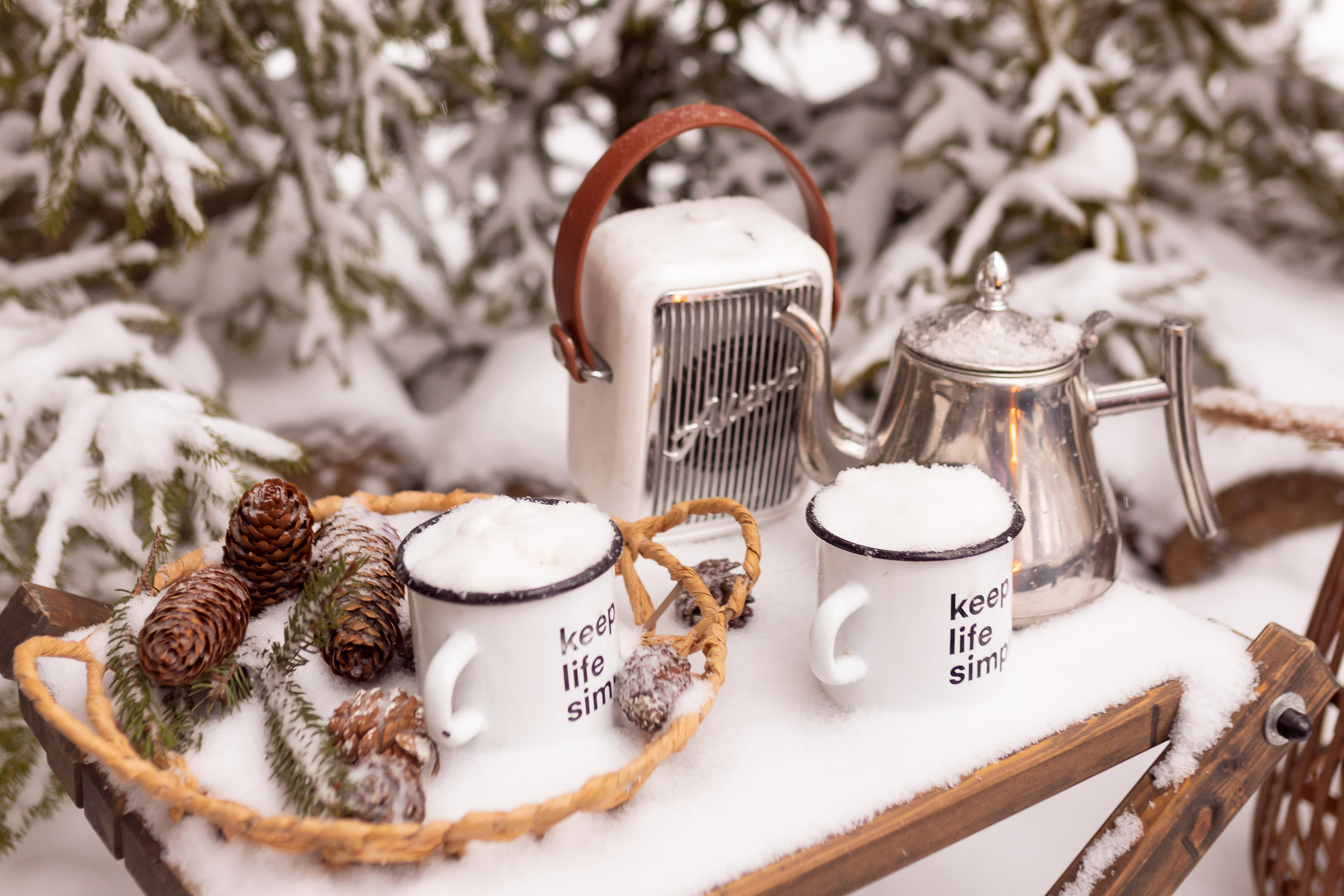 Первый снег в Декабре 2024. Семейный и детский фотограф в городе Подолск МО Крылова Ирина