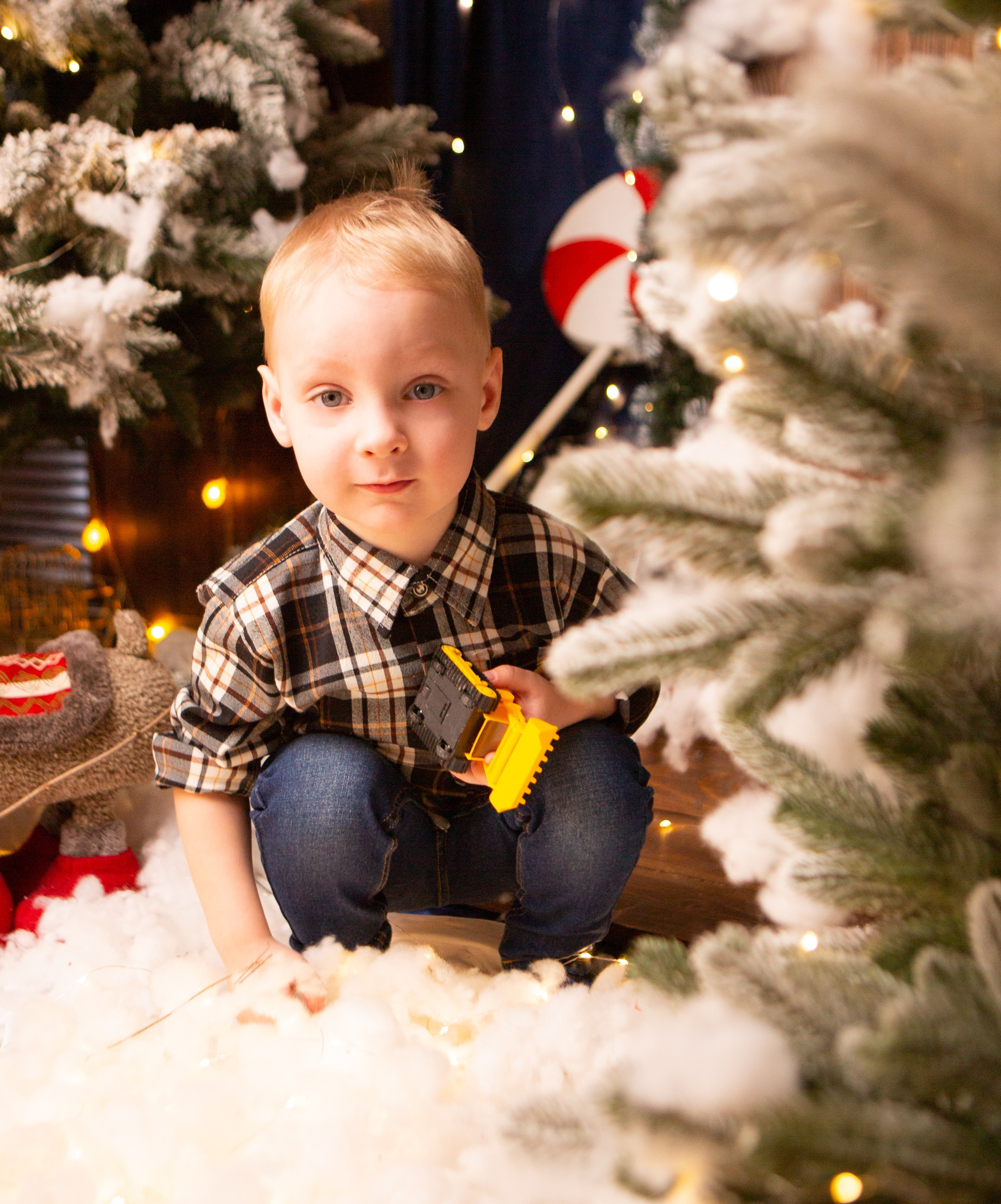 Декабрь 2023. Фотограф Тверь|Москва|Волоколамск| Отт Кристина