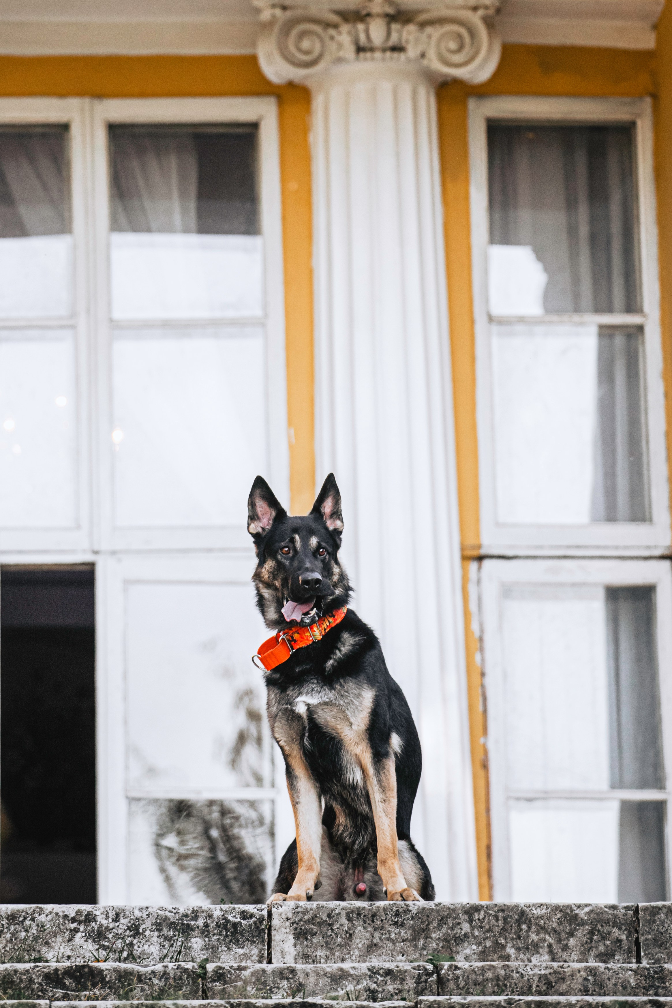 Илай. Фотограф-анималист Татьяна Степанова