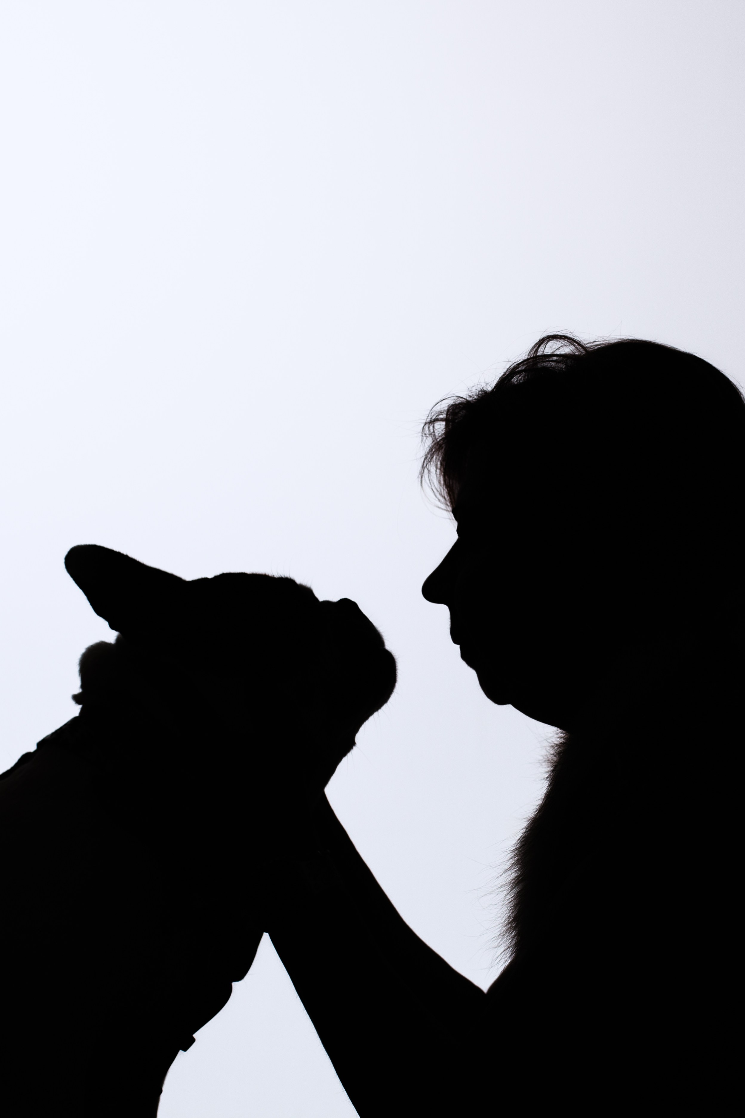 Бульвстреча 2025. Фотограф-анималист Татьяна Степанова