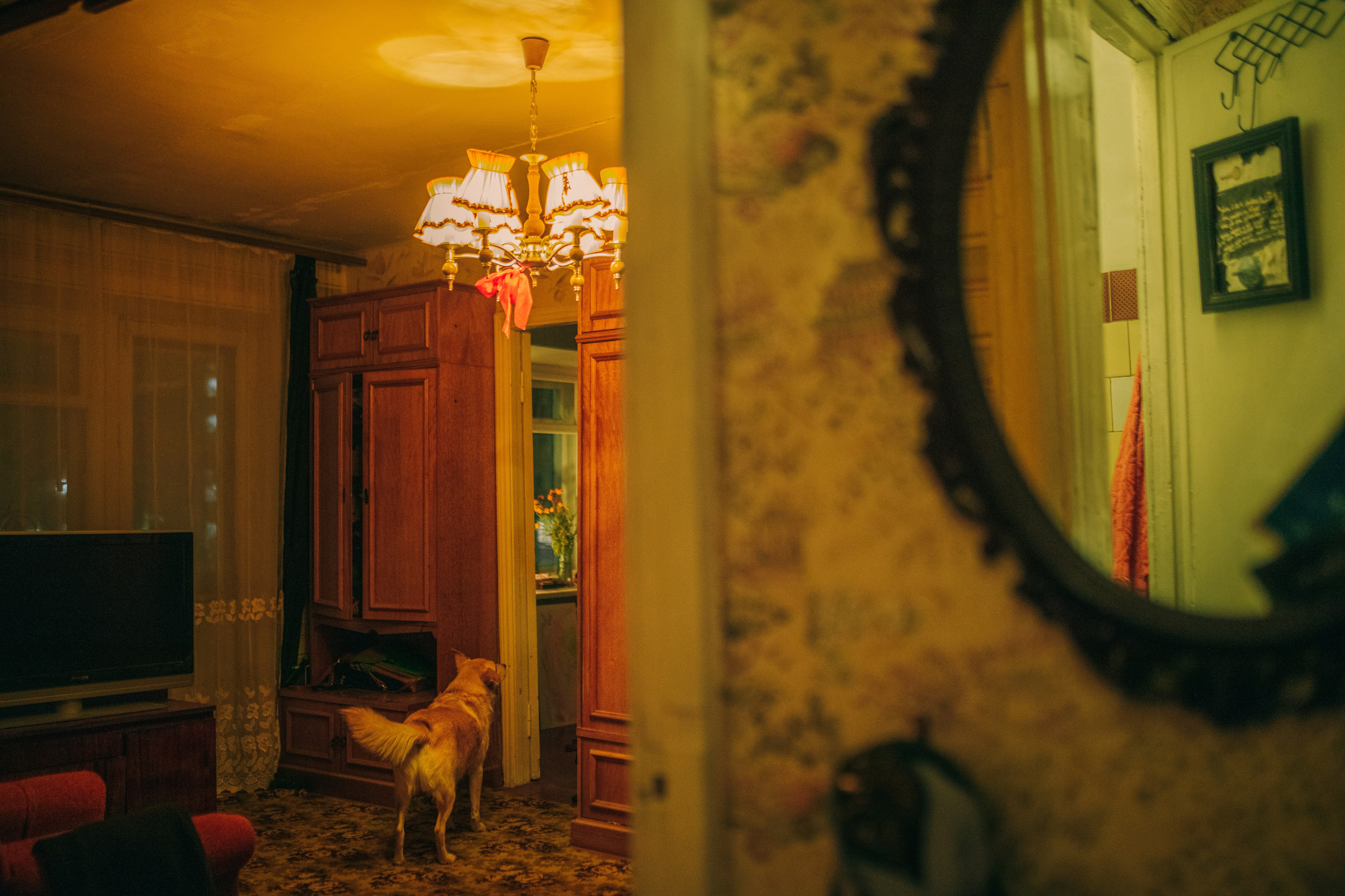 Вета. Женский семейный фотограф Тула Москва Захарова Анна