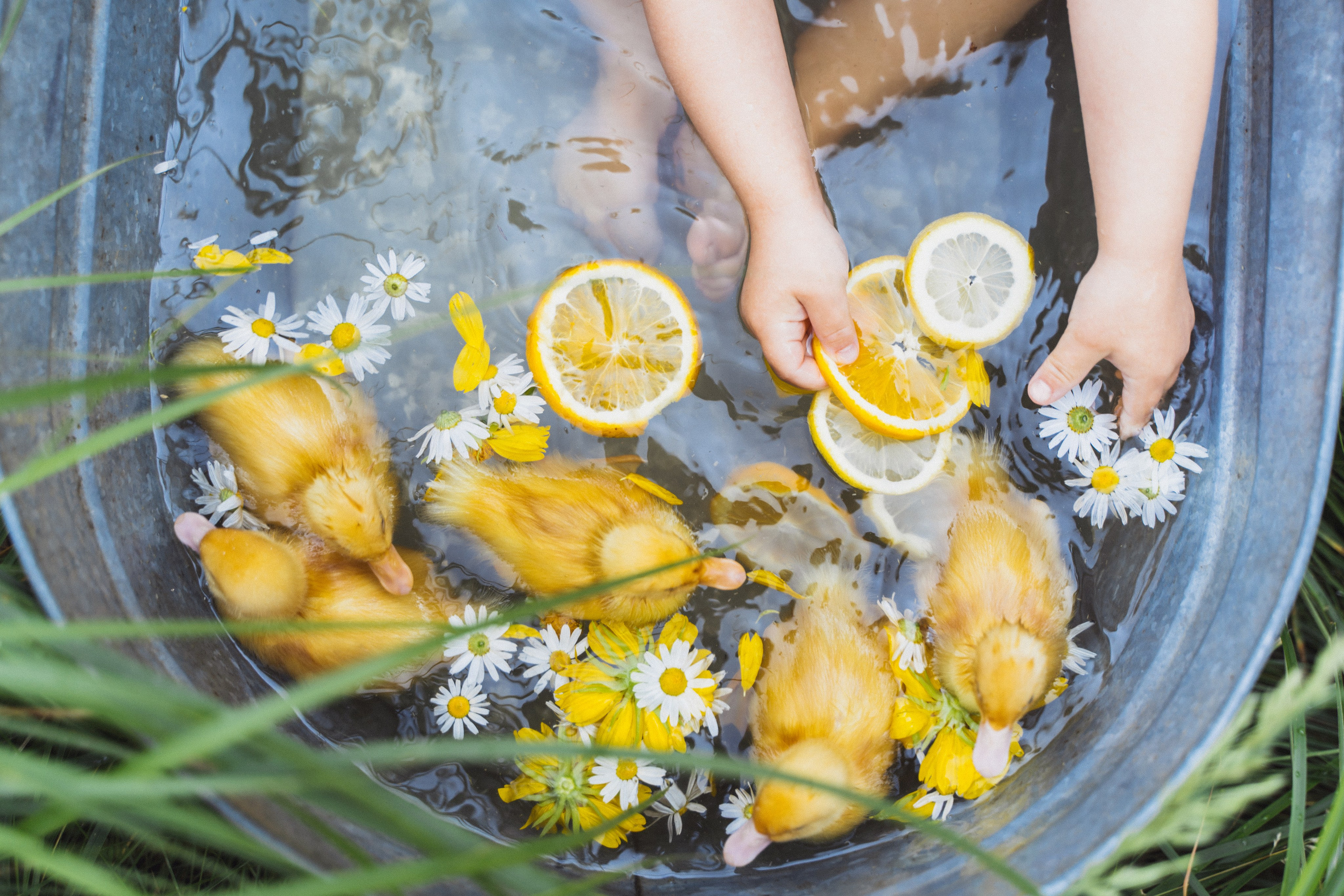 Детские съемки. Женский и семейный лайфстайл фотограф в Уфе Лайт Альбина