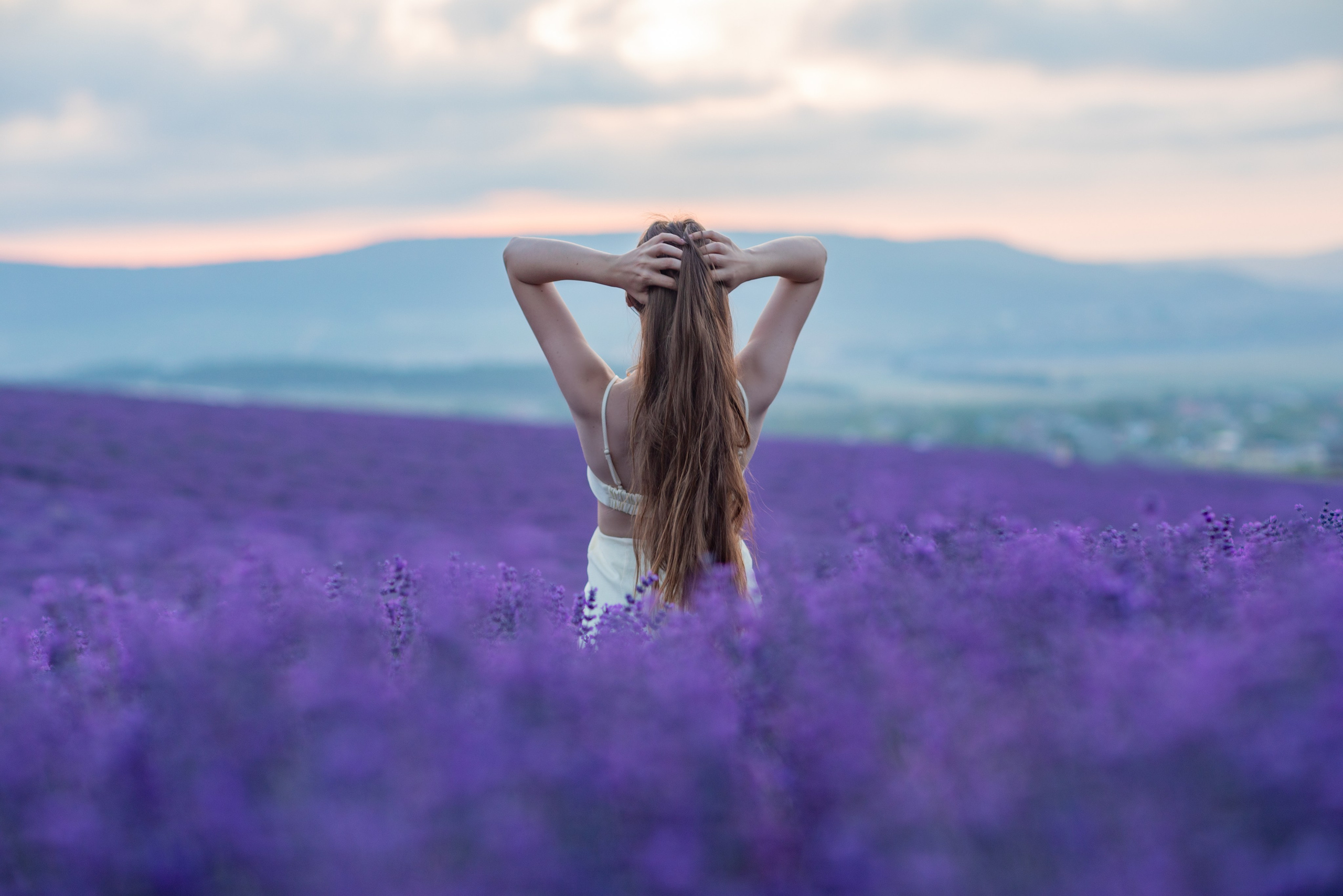 ЛАВАНДА. Фотограф Севастополь/Крым Светлана Евтушенко