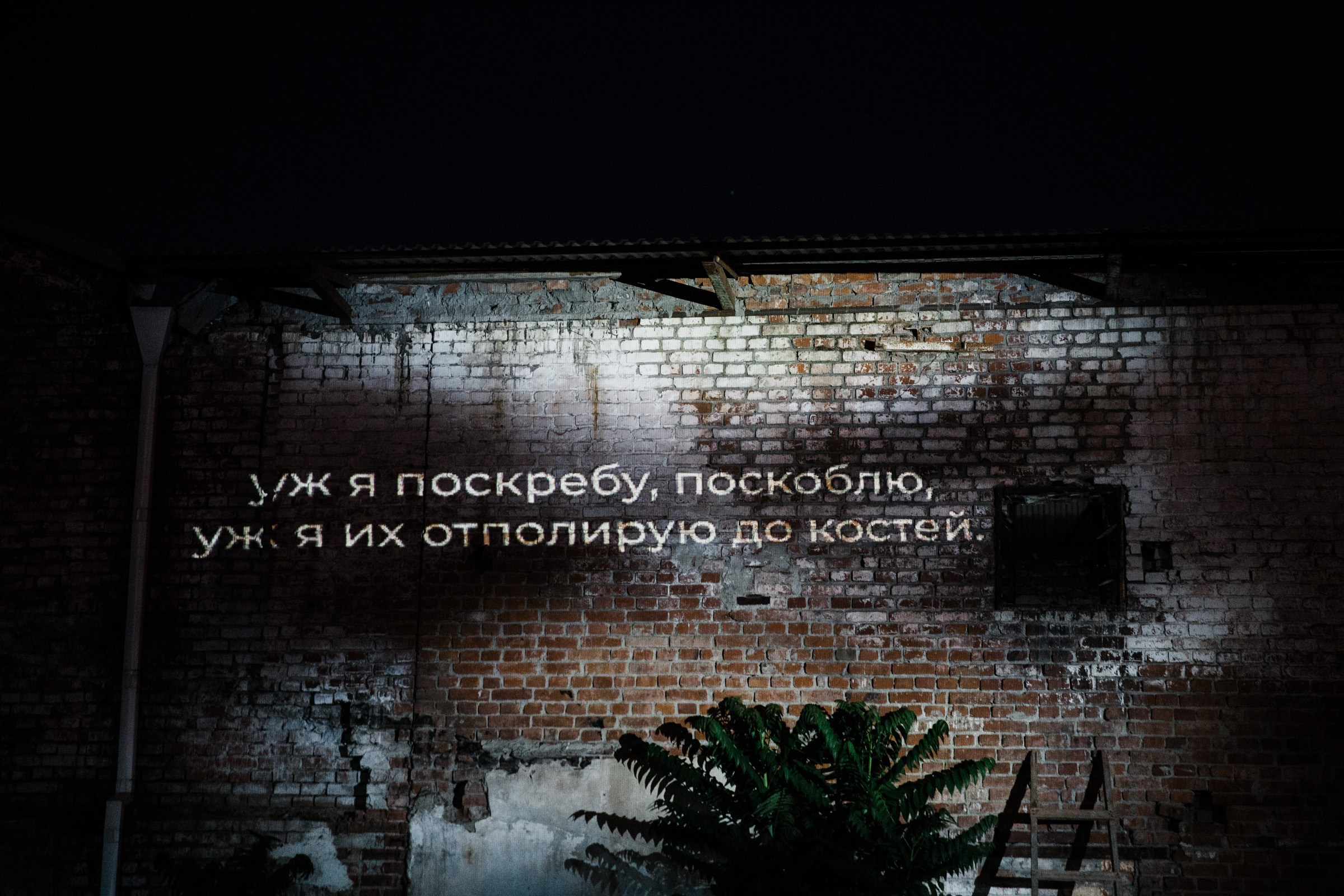 Мухи / перфоманс. Фотограф Алутера Ирина