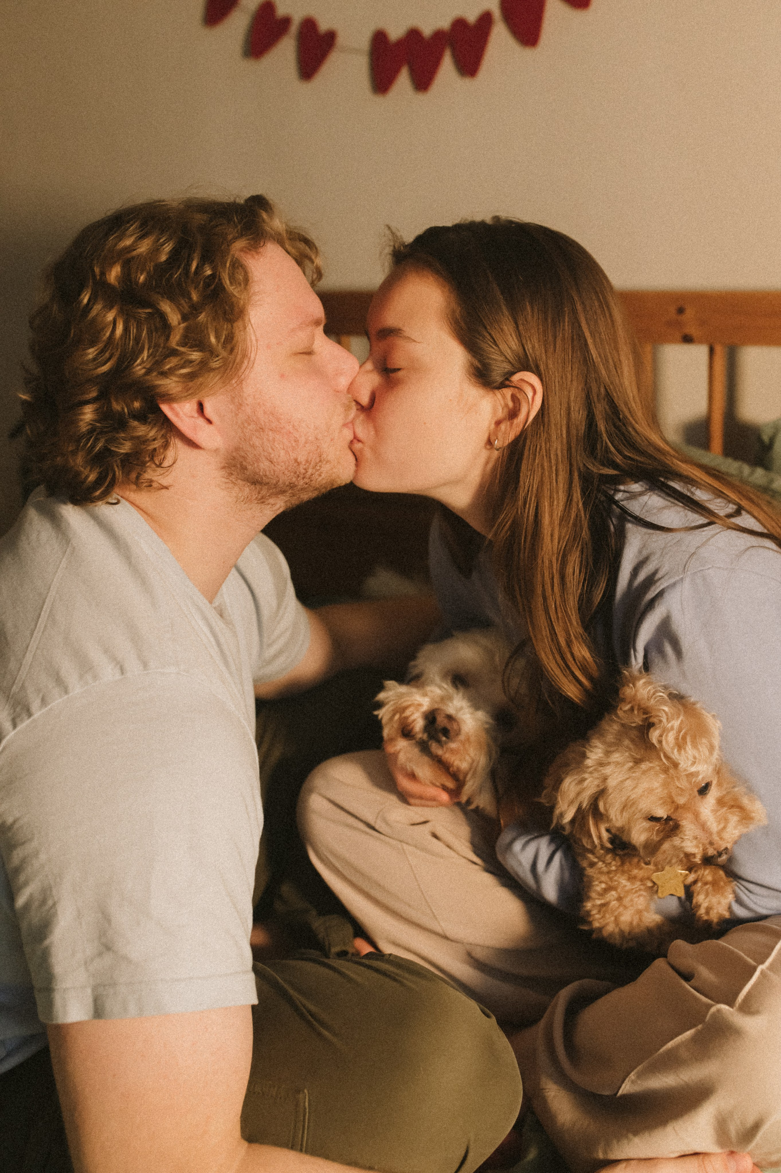 Ання и её кудрявая команда. Фотограф анималист в Москве Ольга Агушева