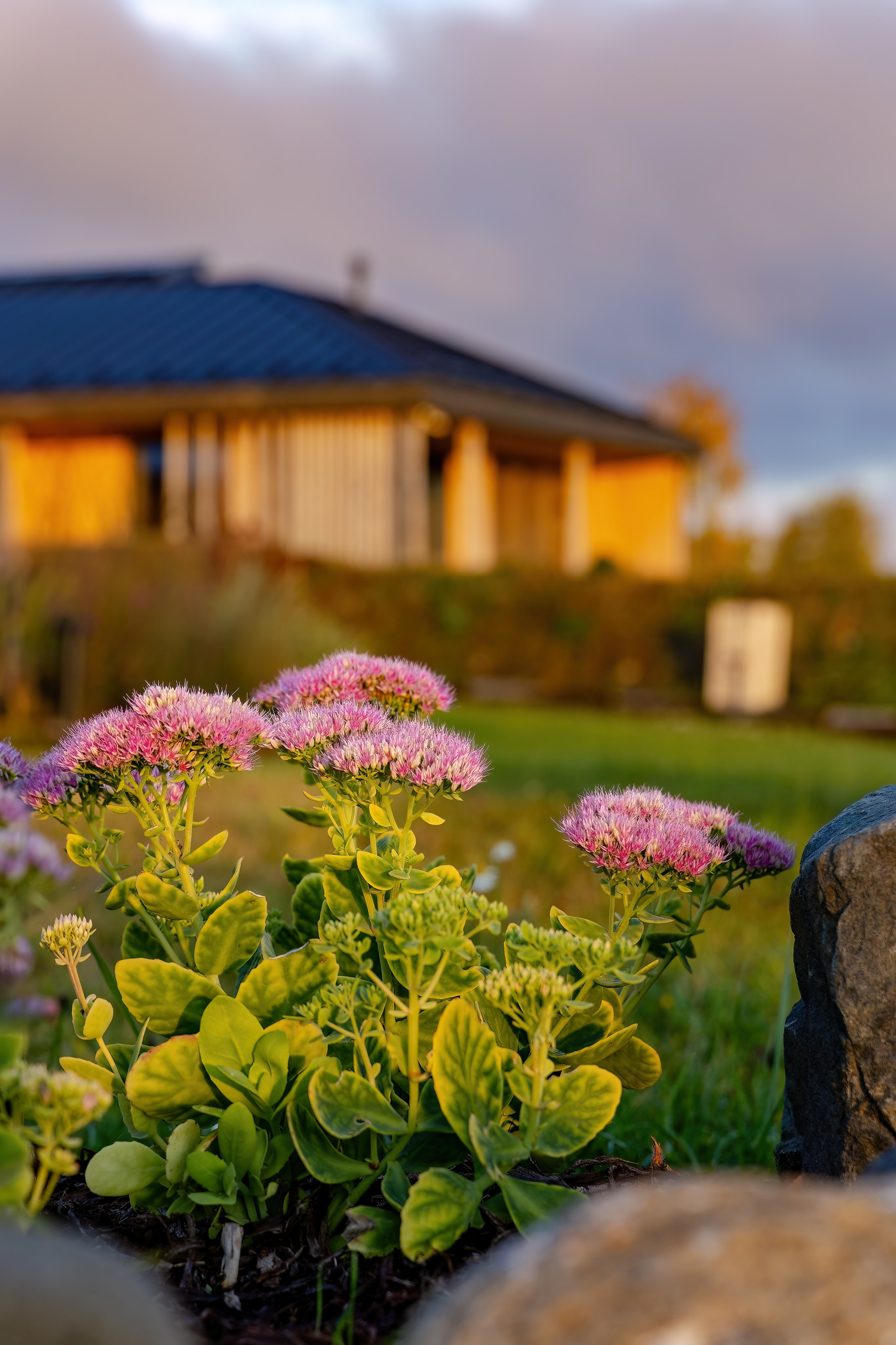 Бутик-отель Заонежье». Аэросъемка. Фото и Видео в Карелии. Алексей Фрилунд