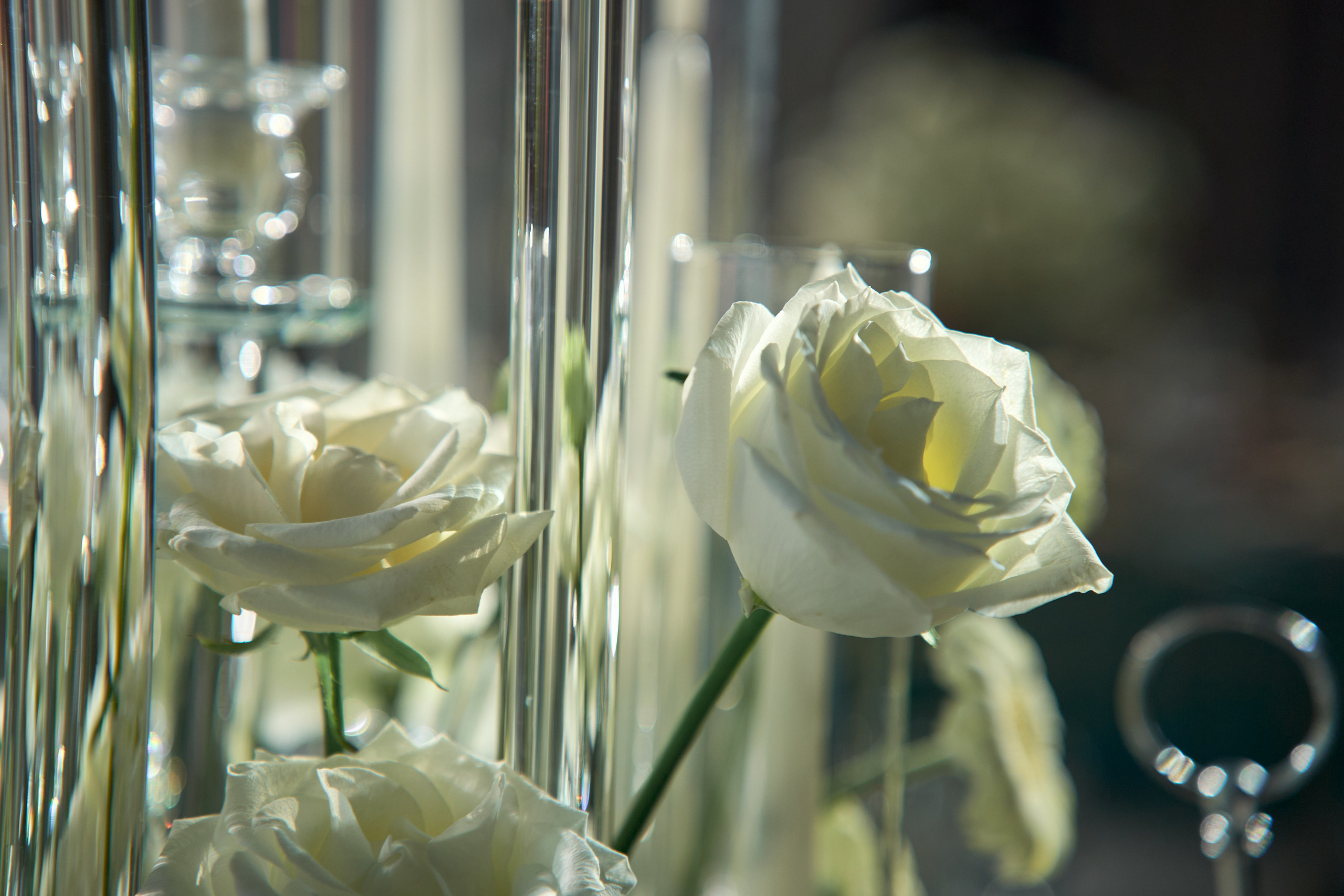 Красивое сватовство со звездами в Сид Холе в Пятигорске! ТВИНС СТУДИО. ТВИНС СТУДИО — лучшие свадебные фотографы и видеографы в Краснодаре