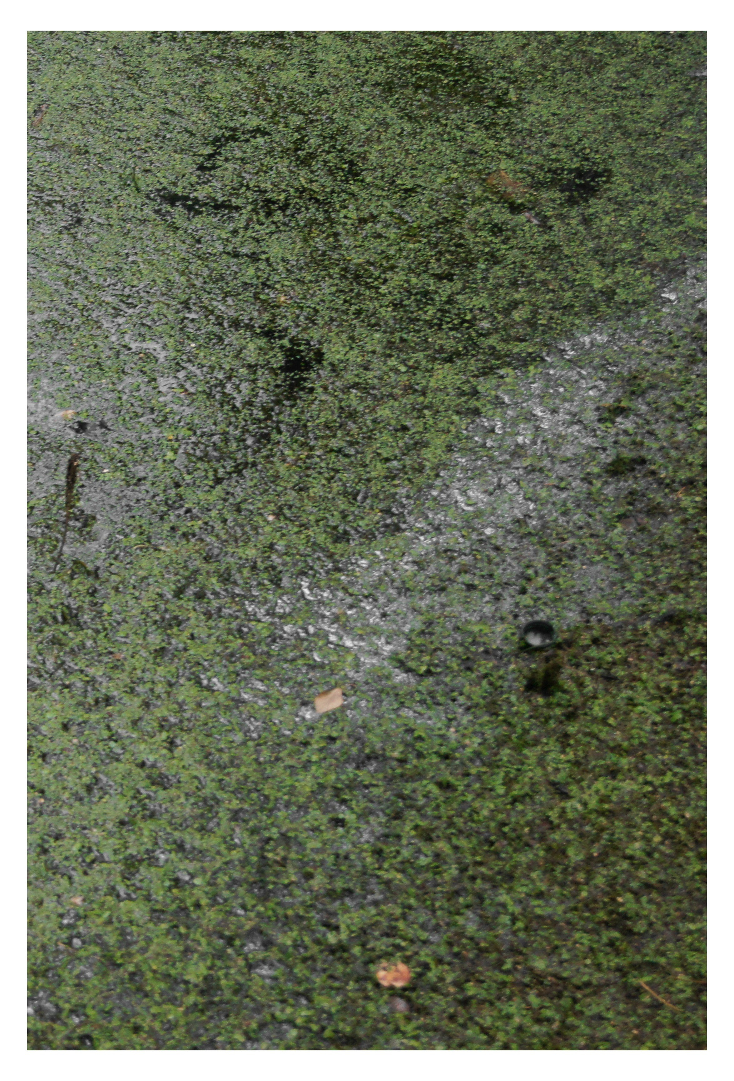 ДЕРЕВНЯ. Фотограф Манакова Ольга