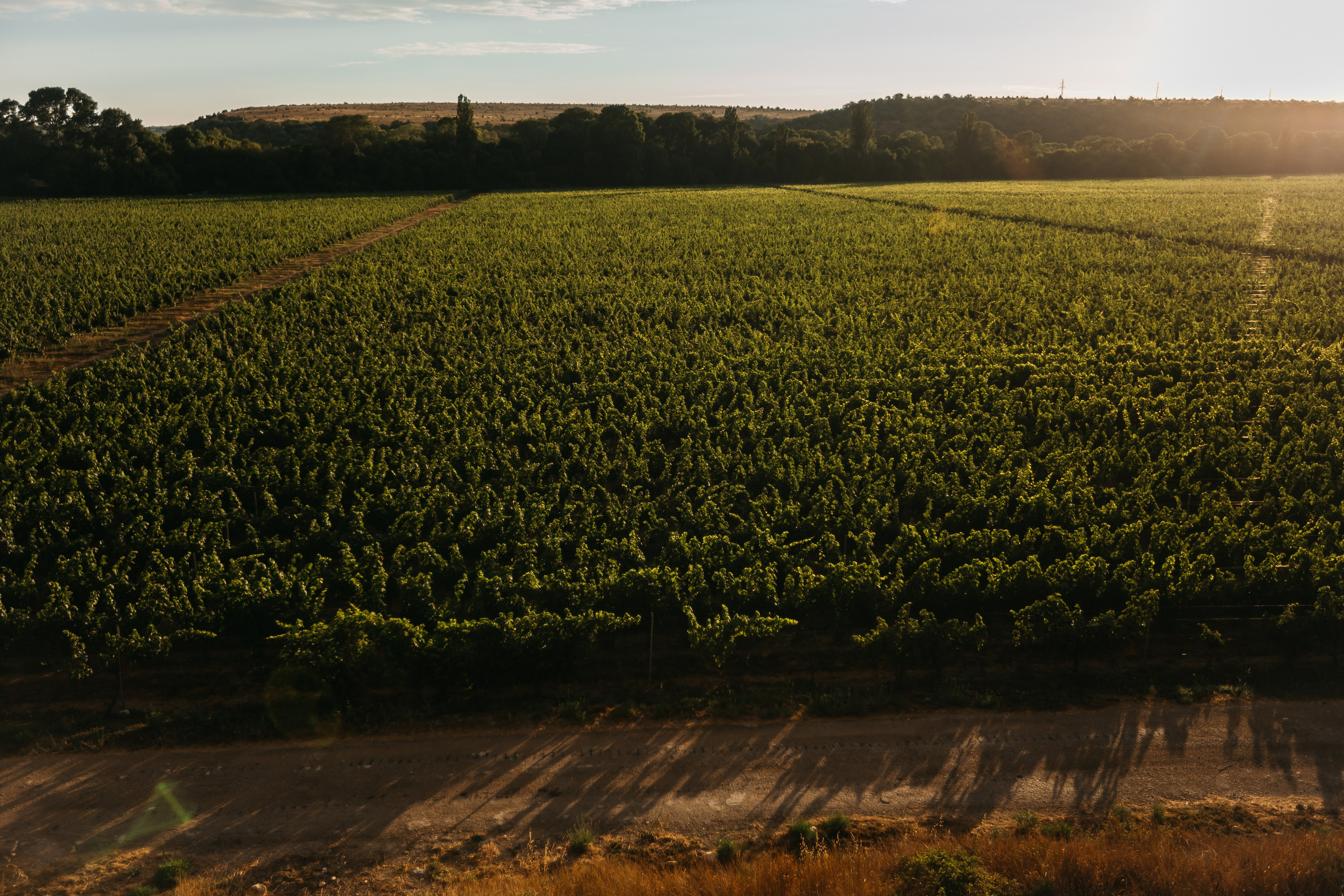 Александр и Алина. Усадьба Акчурина. Фотограф Анна Лейман. Севастополь