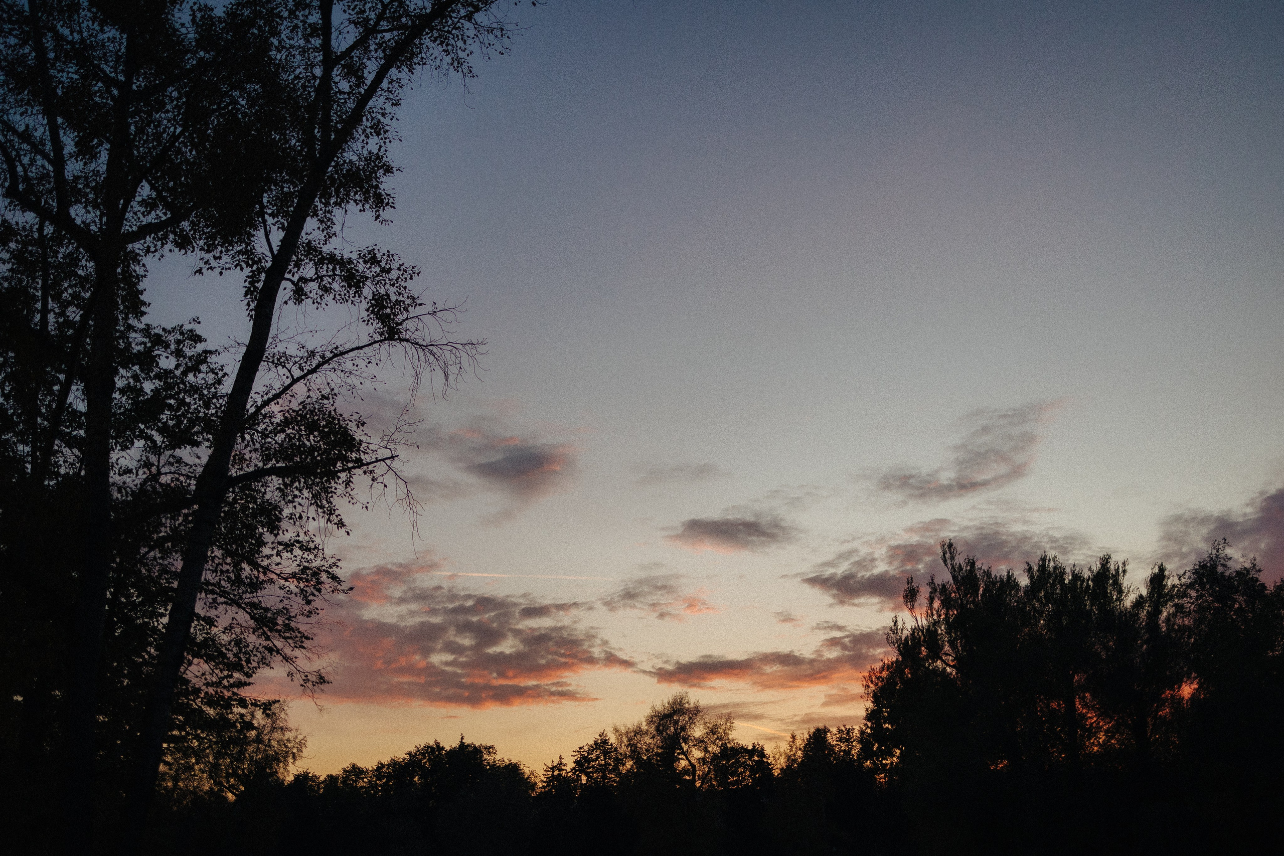Оля и Бри. Фотораф — анималист Мария Шистка
