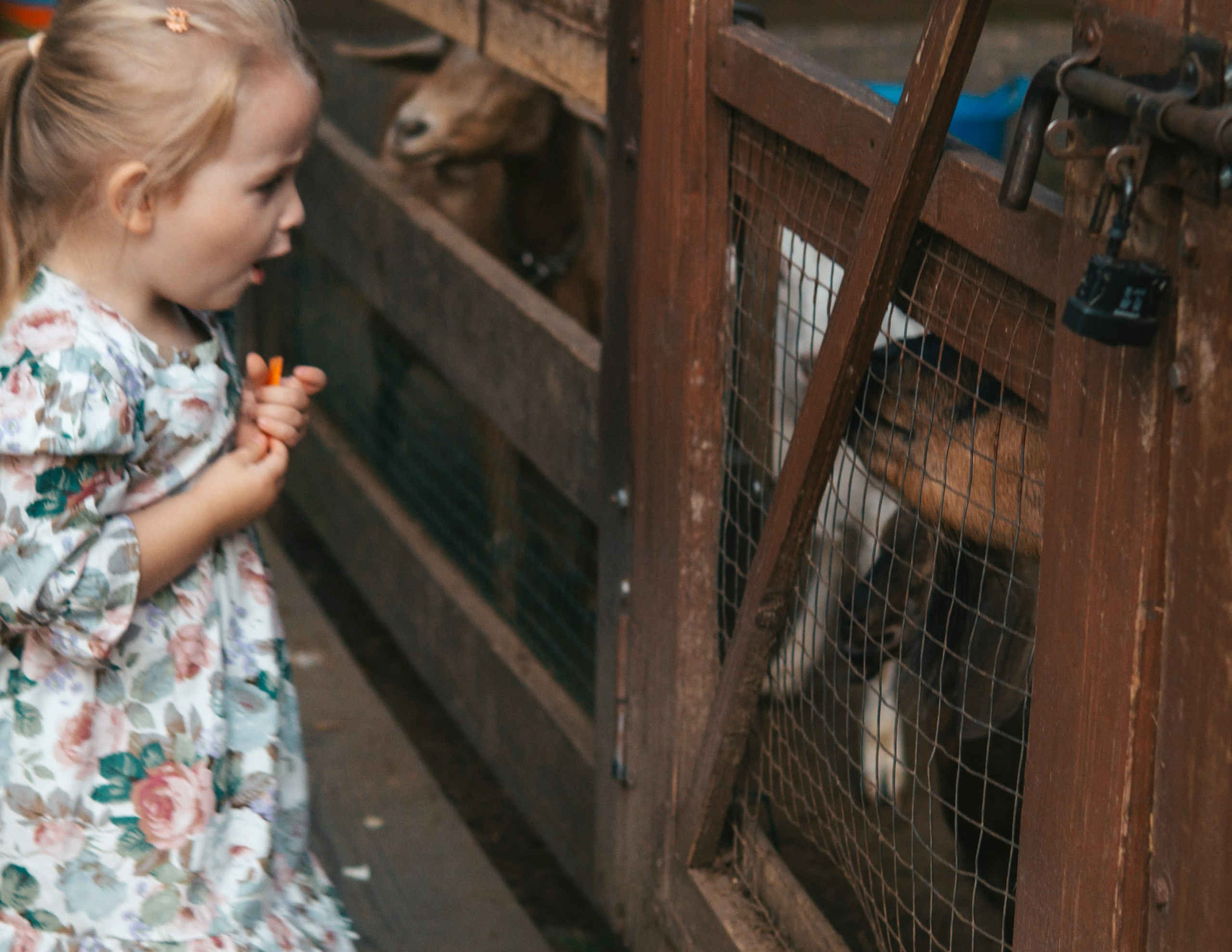 Юля, Ника и Саша. Фотограф в Москве Юлия Першина