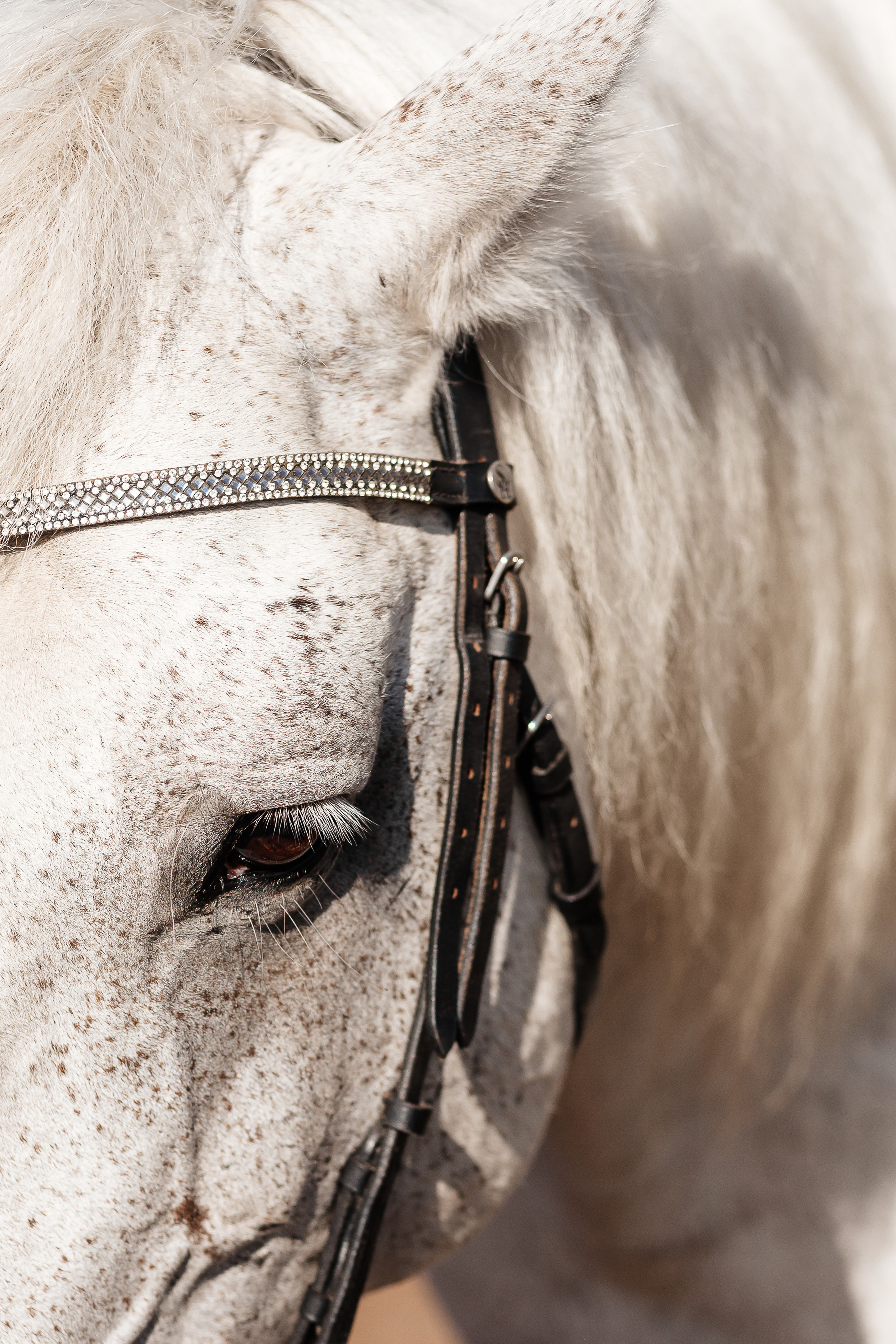 Кантри. Женя и Оюна. Фотограф Бурятии София Андриянова