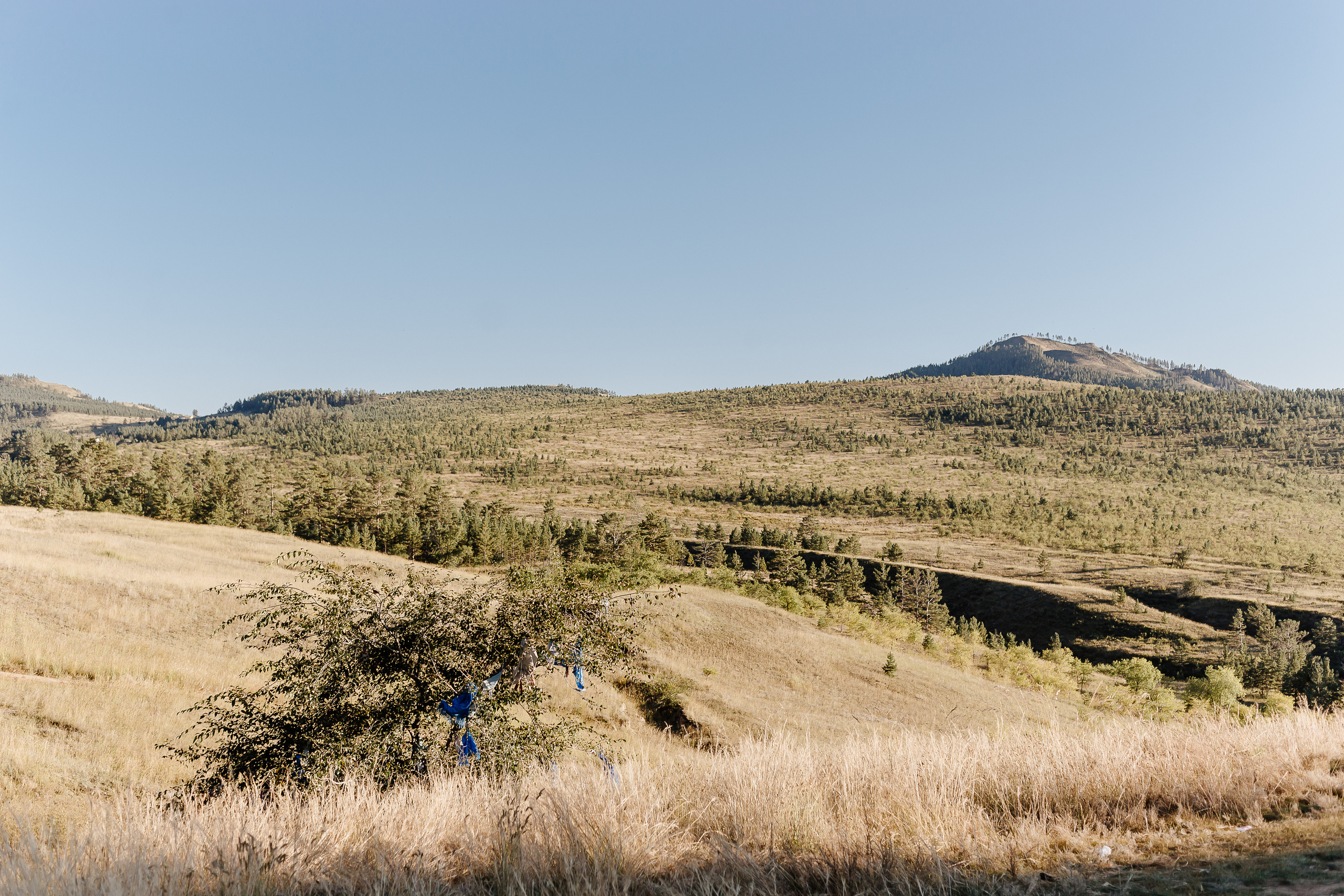 Любовь. Предложение руки и сердца Содном и Милена. Фотограф Бурятии София Андриянова