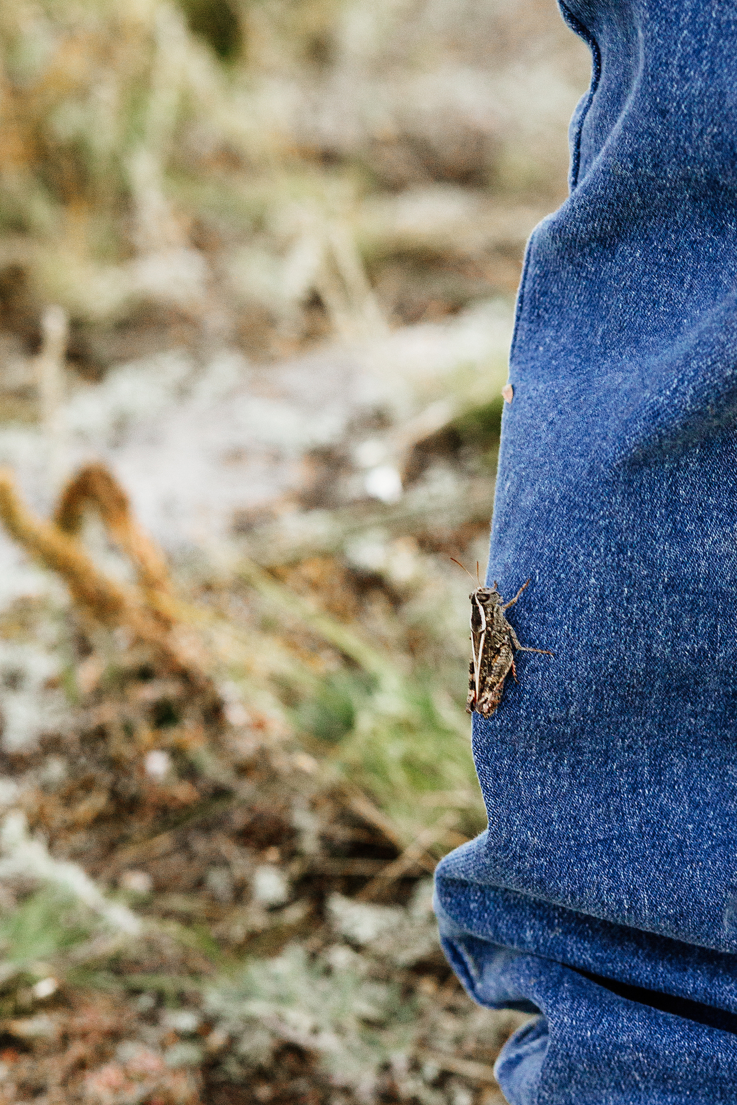Счастье. Фотограф Бурятии София Андриянова