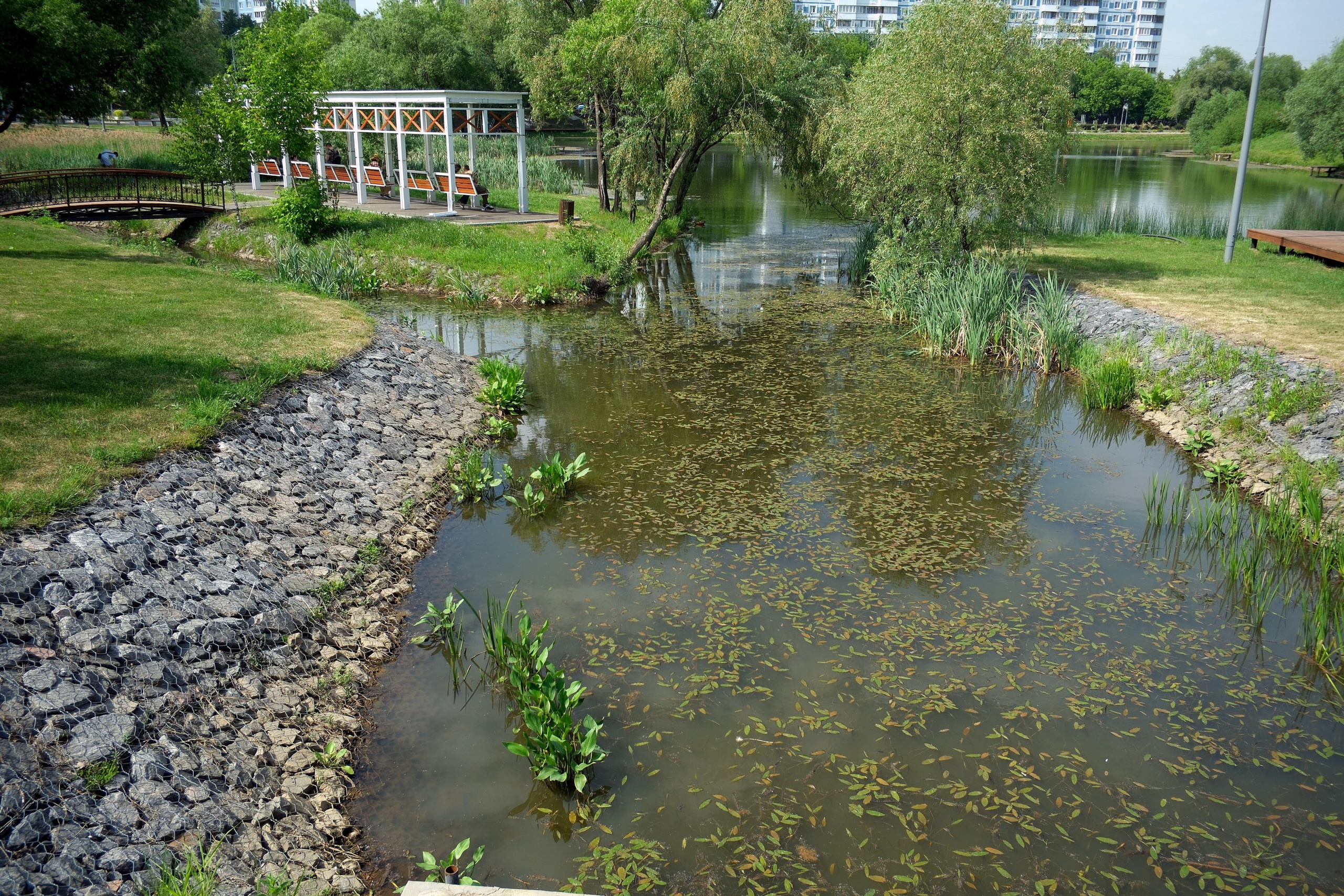 31.05.2025. Покровский парк. Активное долголетие. Улица, люди, жизнь…