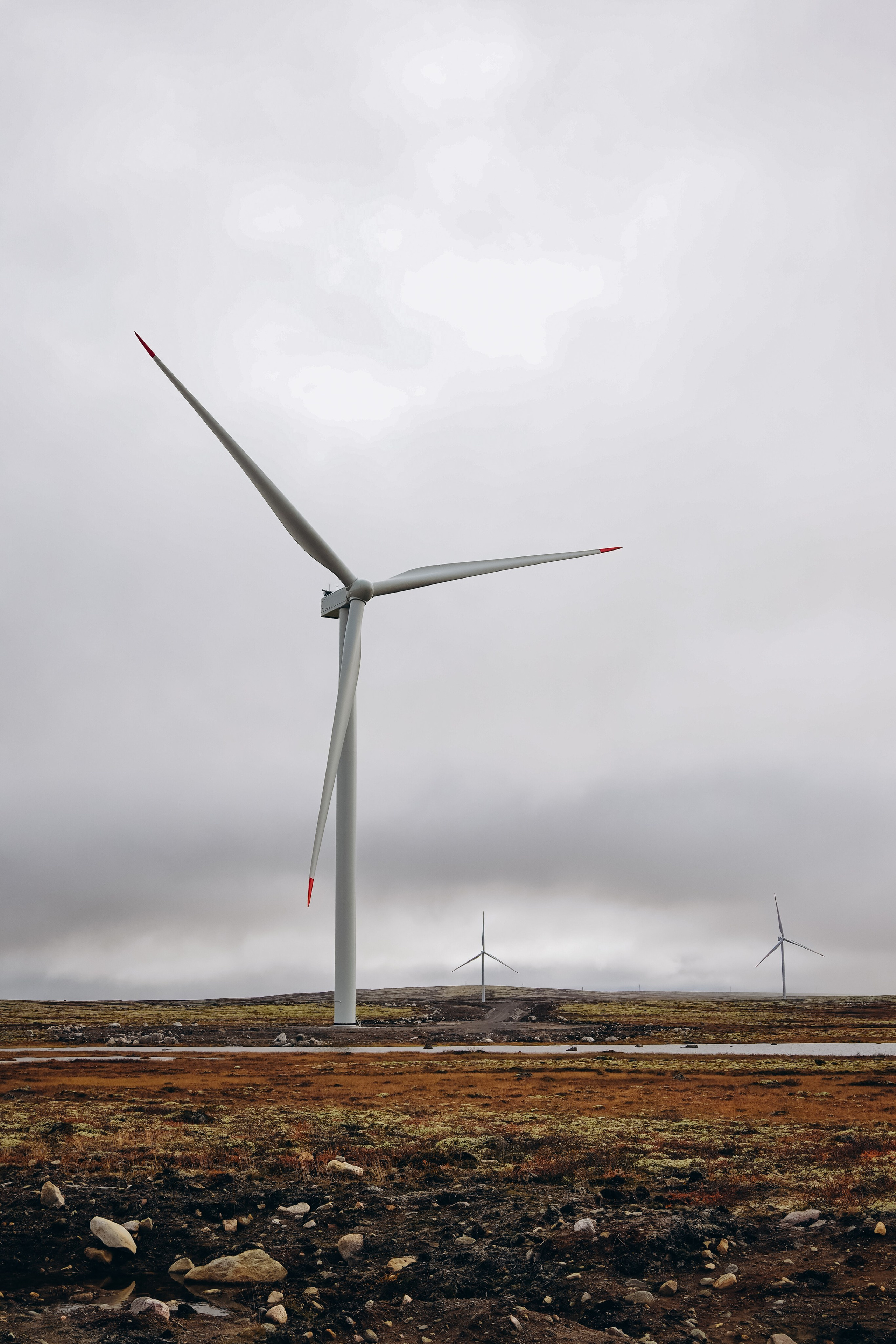 СЕВЕР. Event фотограф Степанова Александра