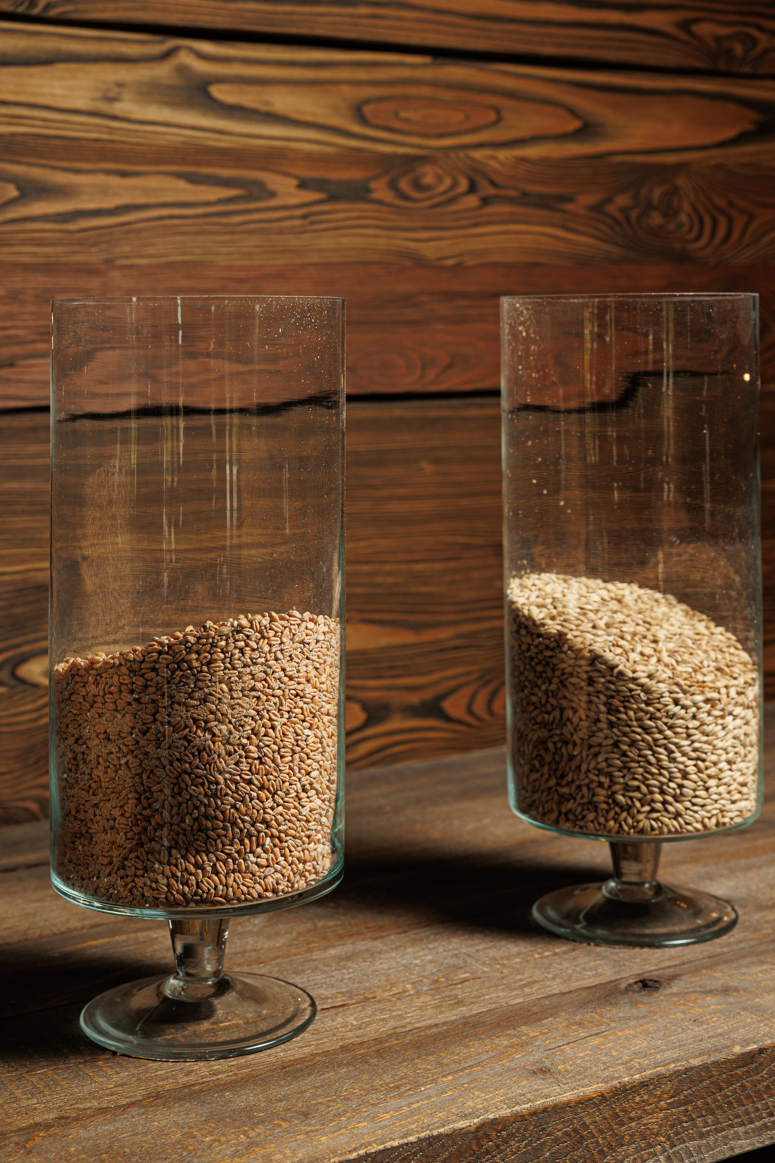 LEVARDI. Репортажный фотограф Ольга Кочетова в Москве