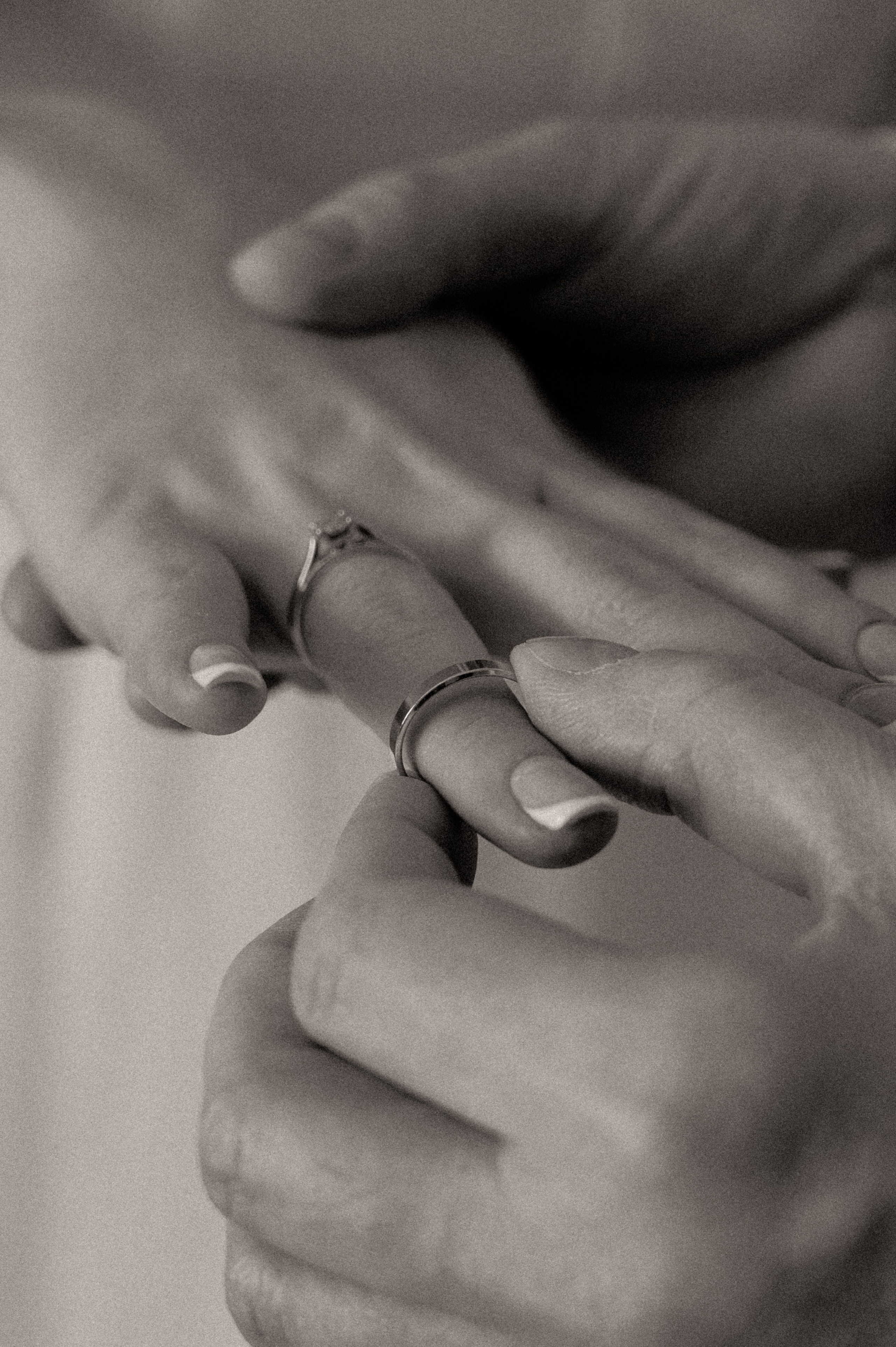 Аркадий и Алина. Свадебный и семейный фотограф в Краснодаре Алина Мельник