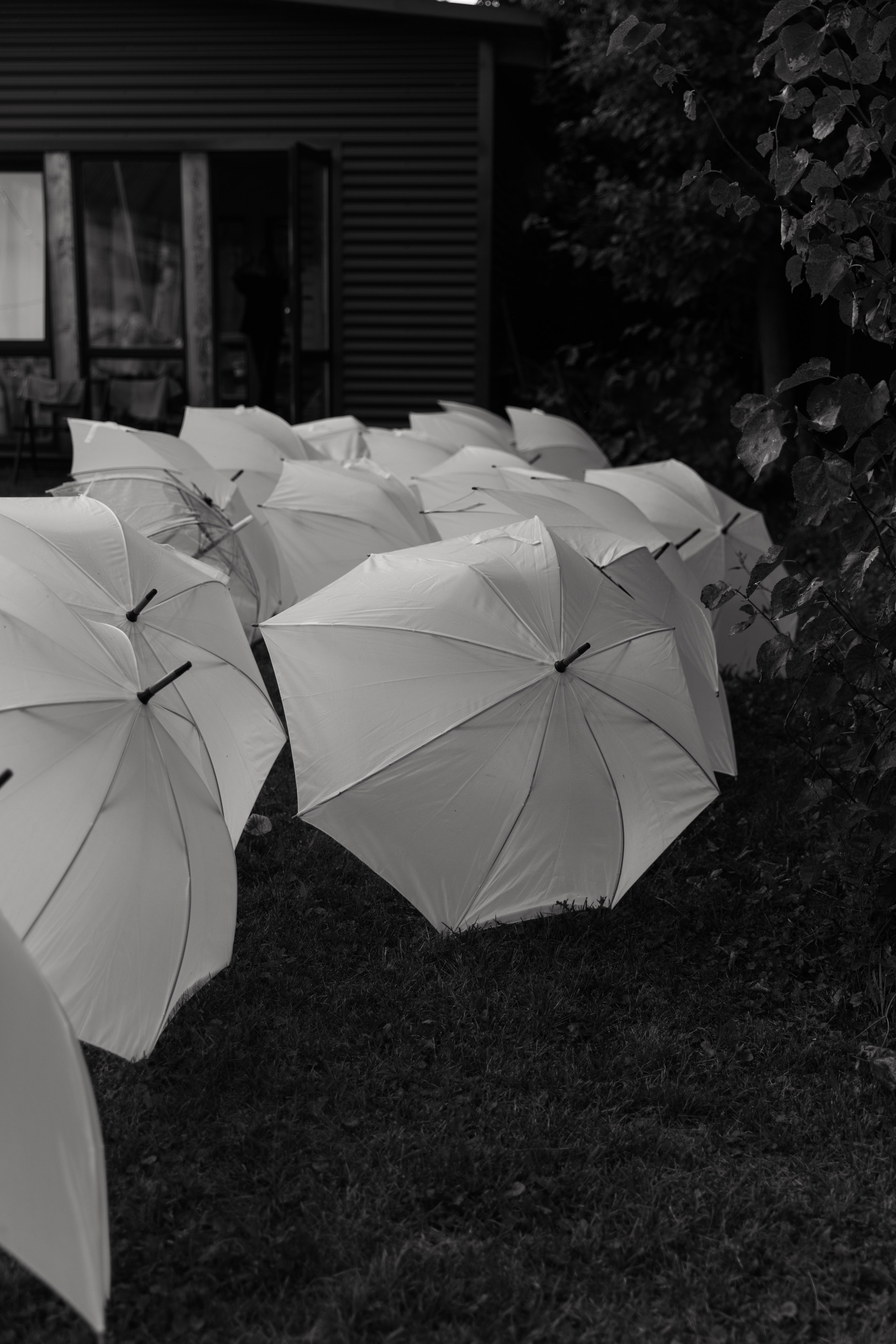 Это по любви. Свадебный фотограф |Орел|Москва Анна Плешкова