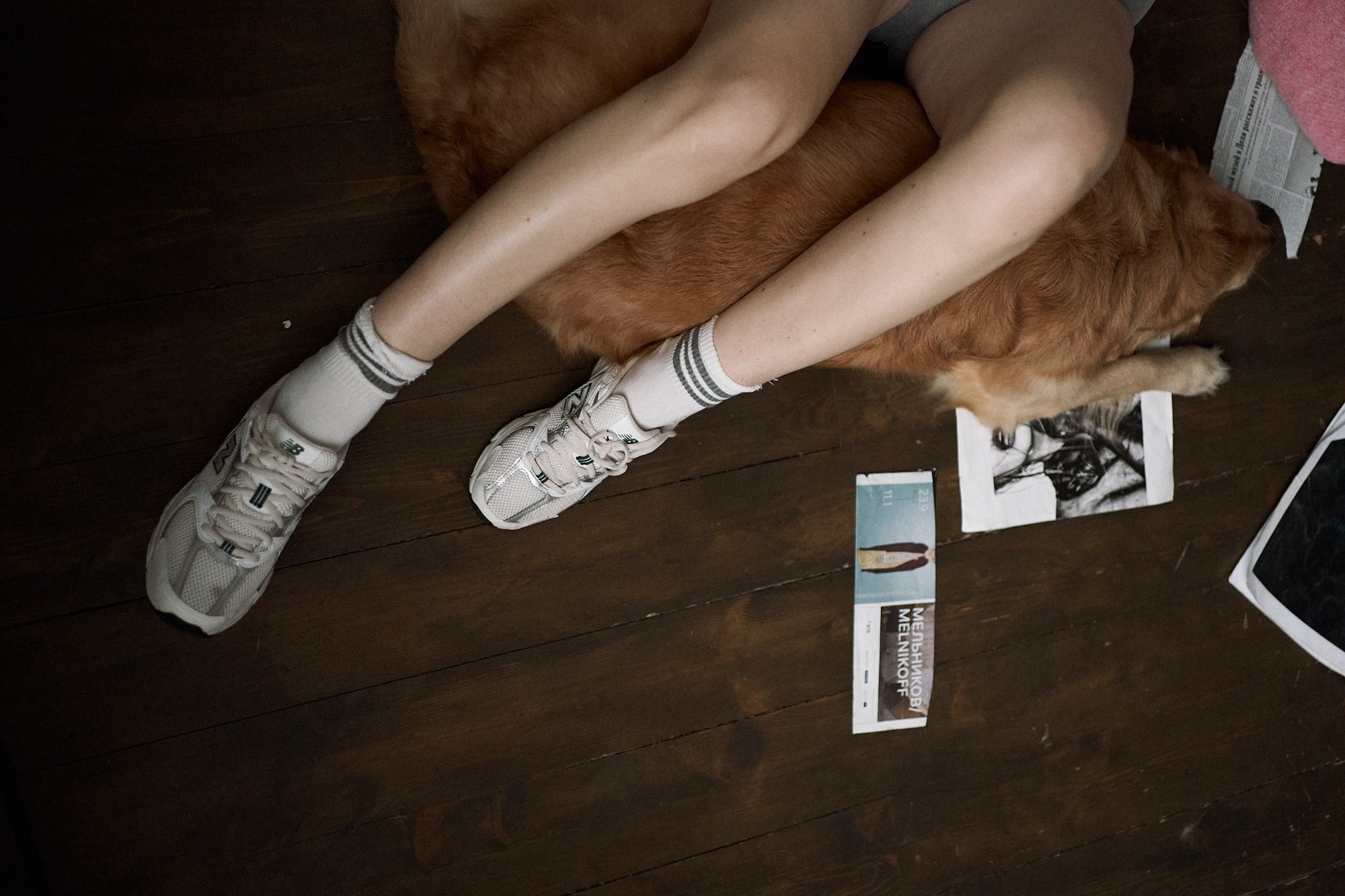 Алия и Пенни. Фотограф анималист Москва Дарья