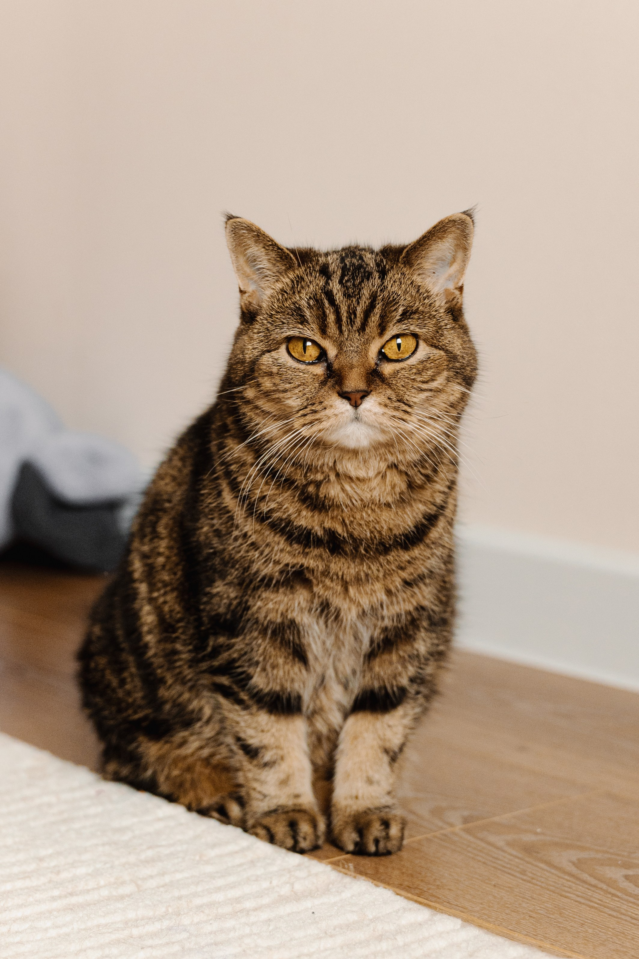 Петя. Фотограф Юлия Абдульмянова