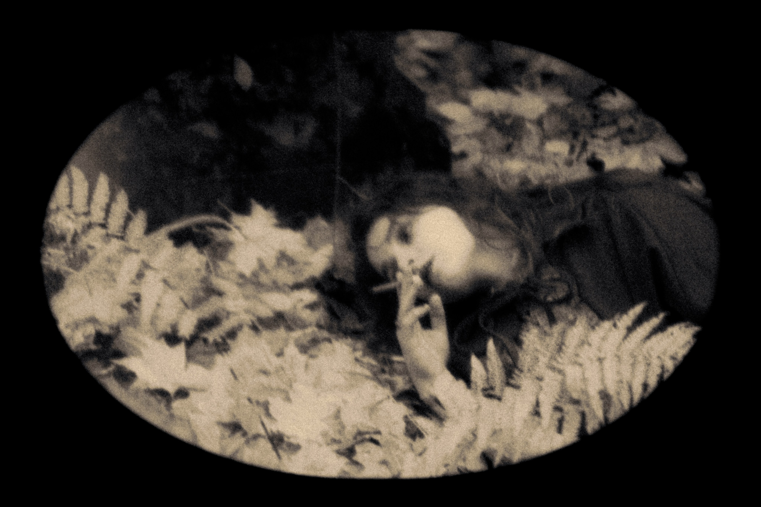 Паулина и Штейн. Ель Татьяна Григ ~ винтажный фотограф ~ Москва