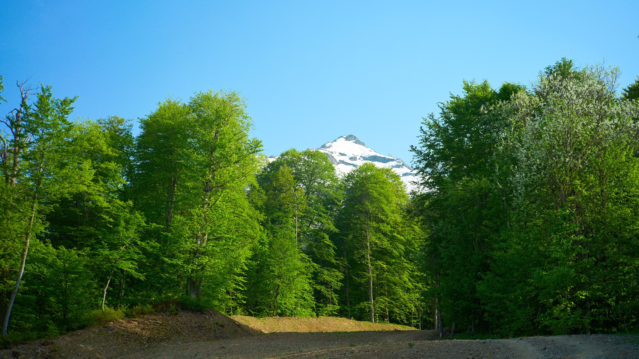 Красная Поляна, апрель 2024. Фотограф, Римма Невинская