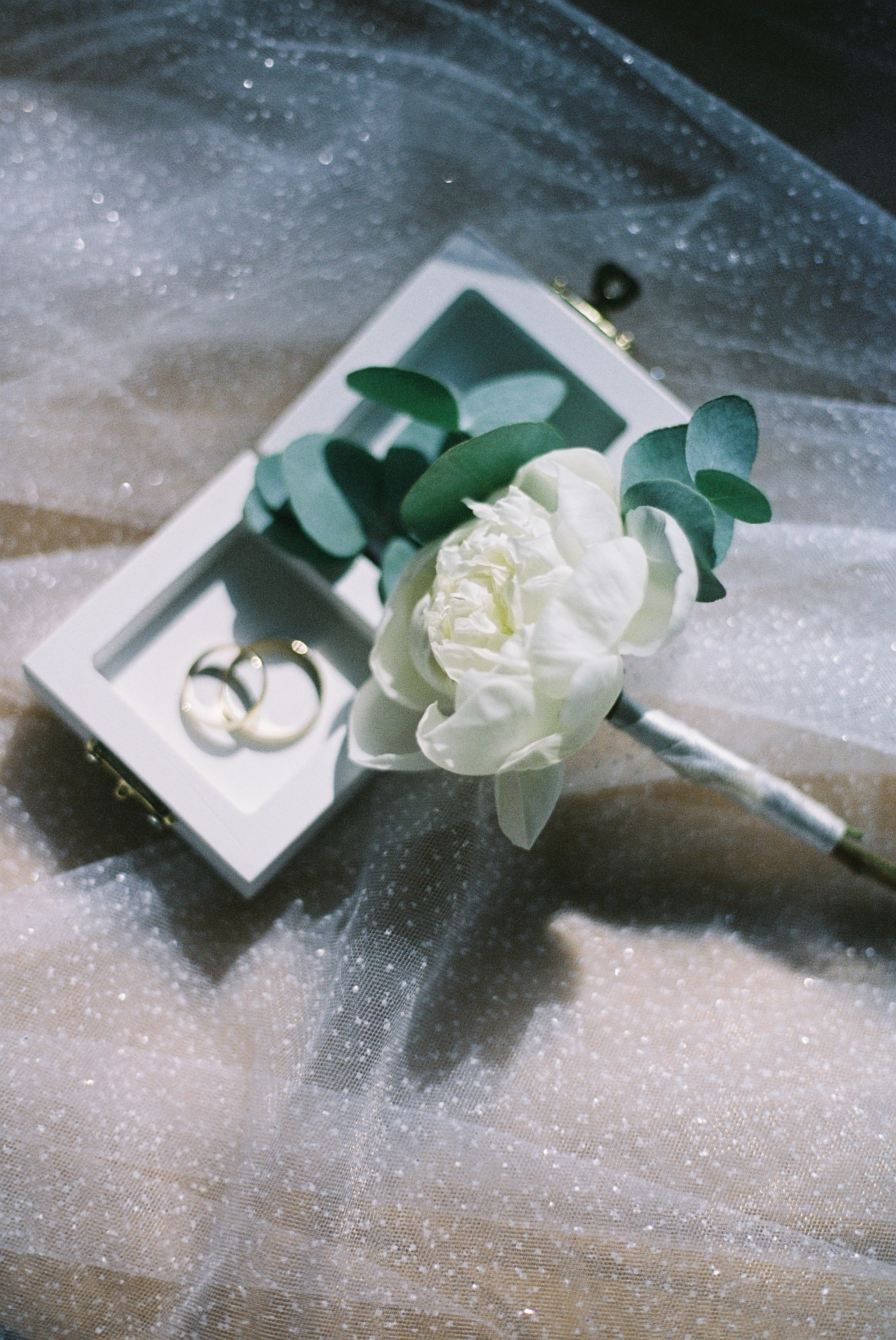 Полина и Алексей, пленка. Фотограф во Владимире, Москве и Суздале — Полина Романычева