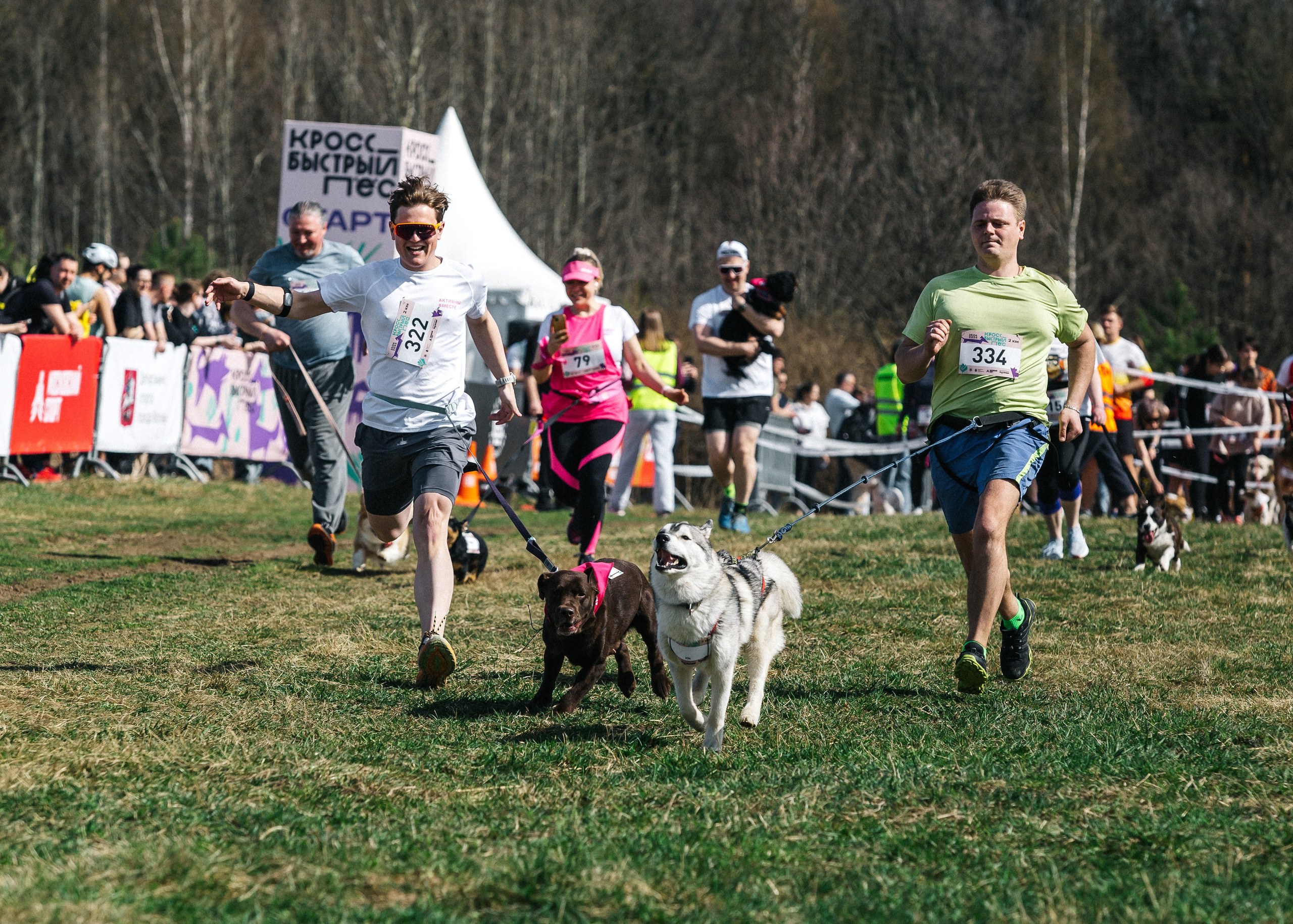 Кросс «Быстрый пёс» 2025. Репортажный фотограф в Москве