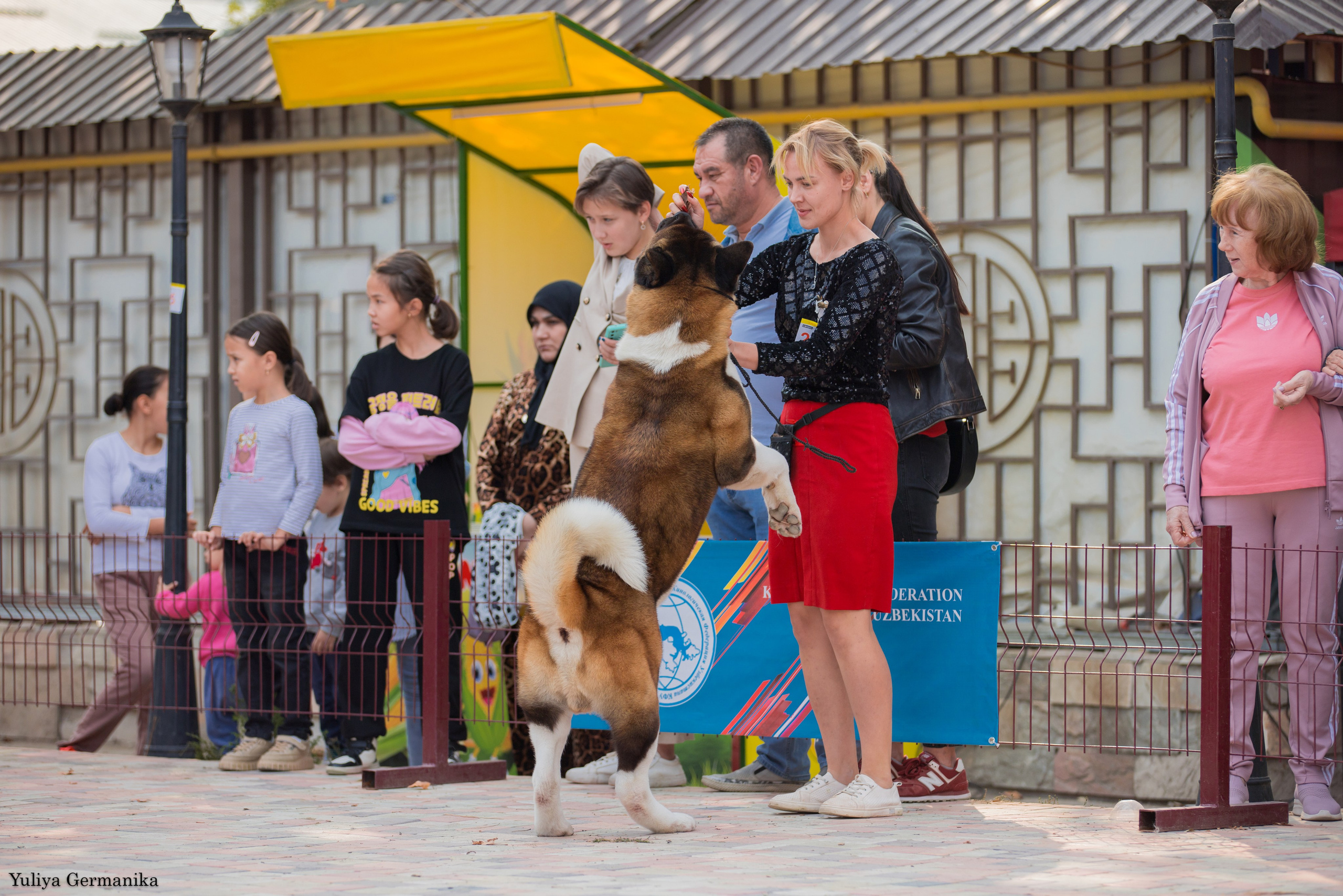 Ташкент 6-8.10.2023 + Алматы 14-15.10.2023. Фотограф-анималист Юлия Германика