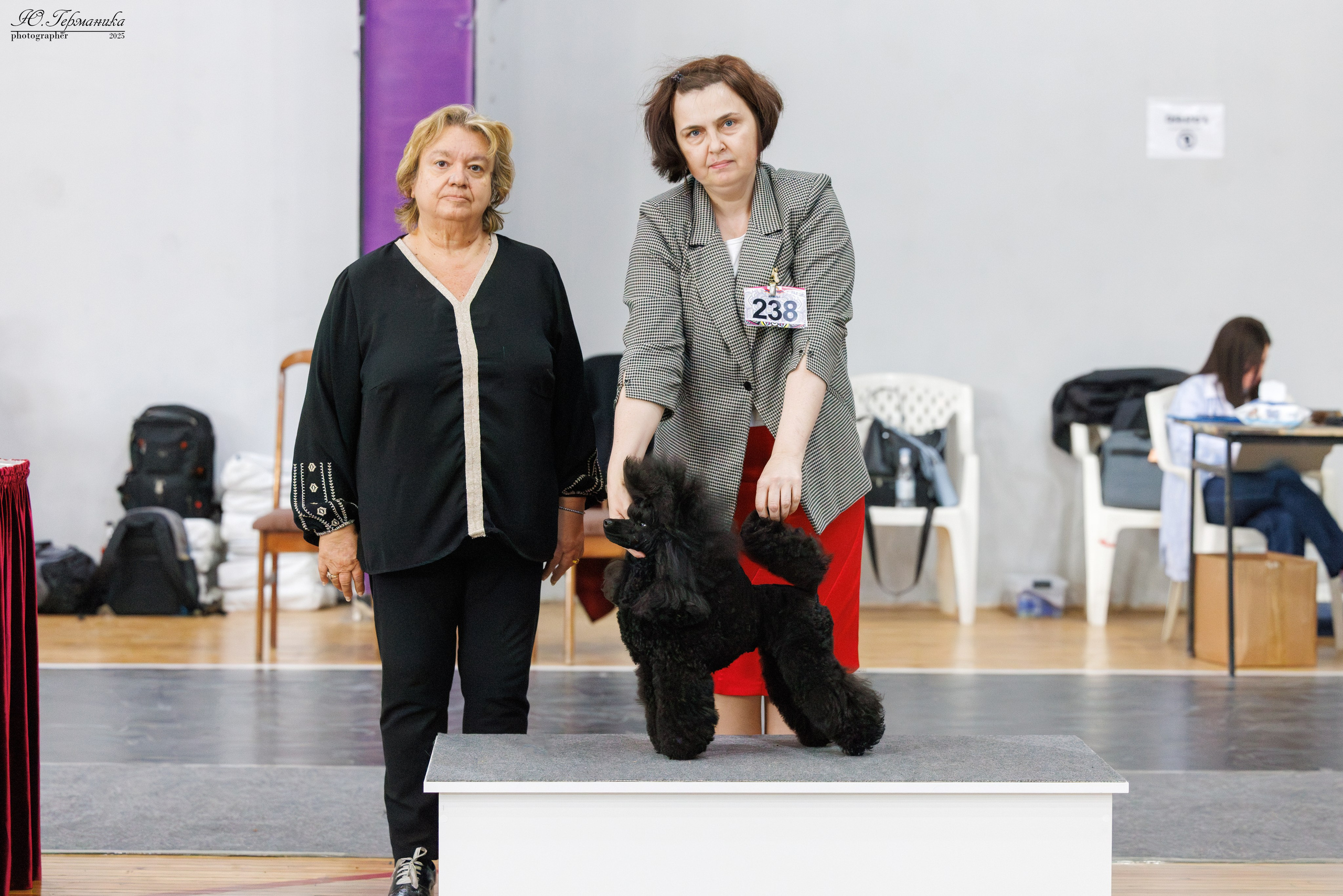 Ереван 2х CACIB 29-30.04.2025. Фотограф-анималист Юлия Германика