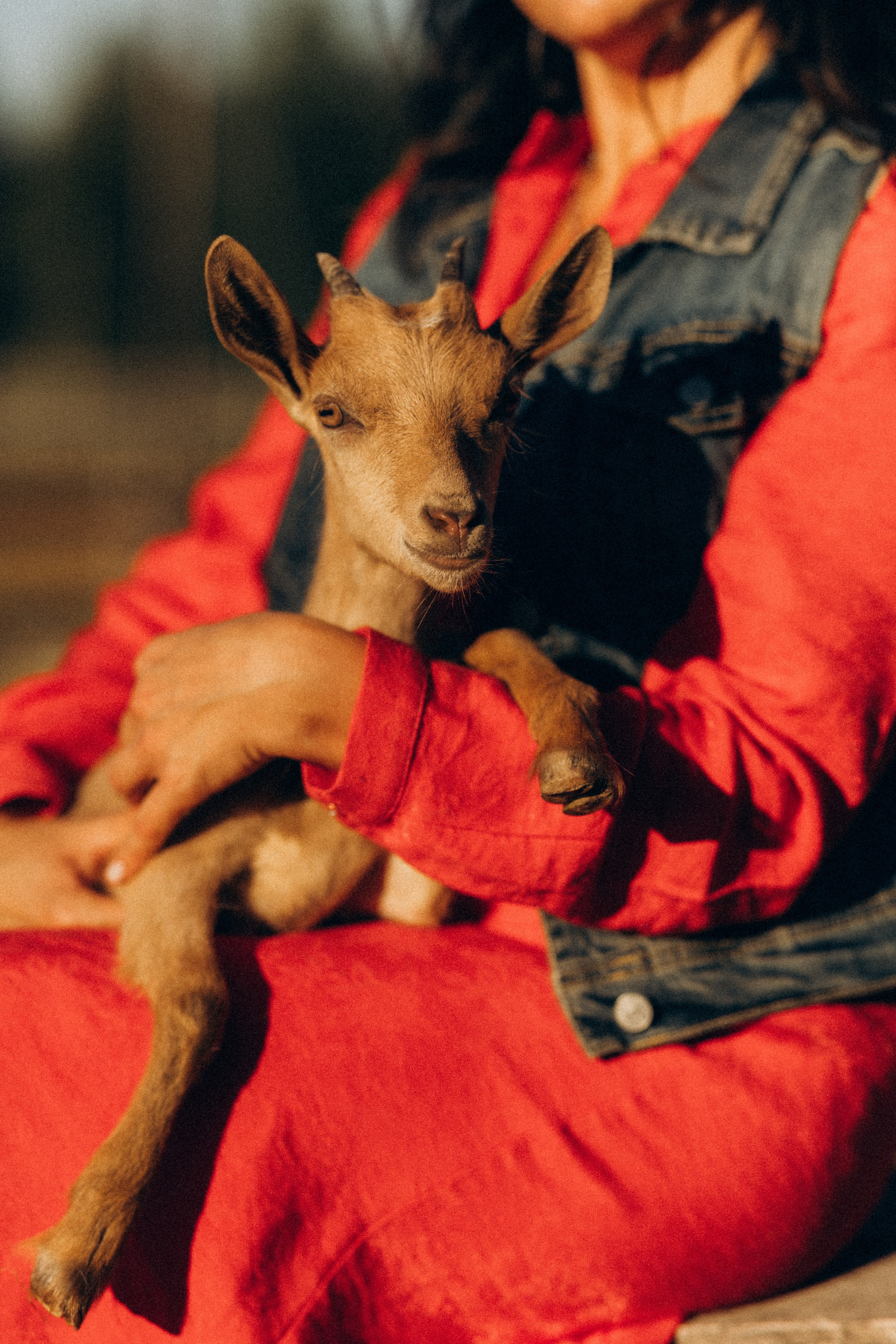 А в деревни лошади. Фотограф Москва Светлана Кирюшина