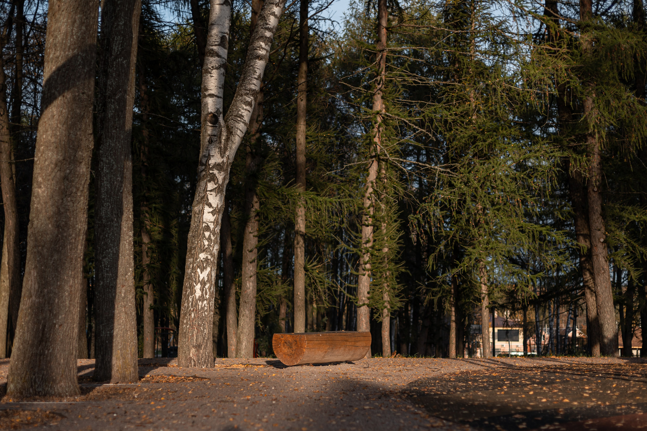 Общественные пространства. Наталья Летунова — интерьерный фотограф в Иванове