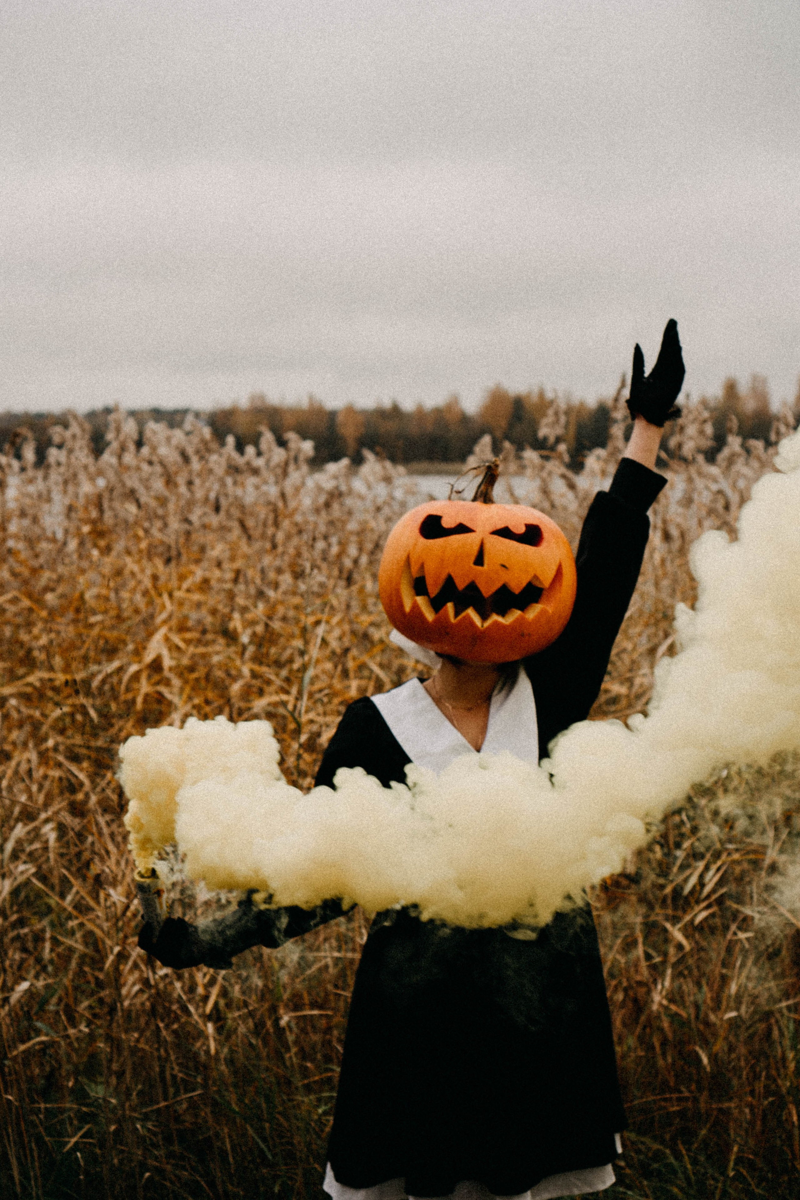 Осеняя. Профессиональный фотограф, Санкт-Петербург — Виктория Богомолова