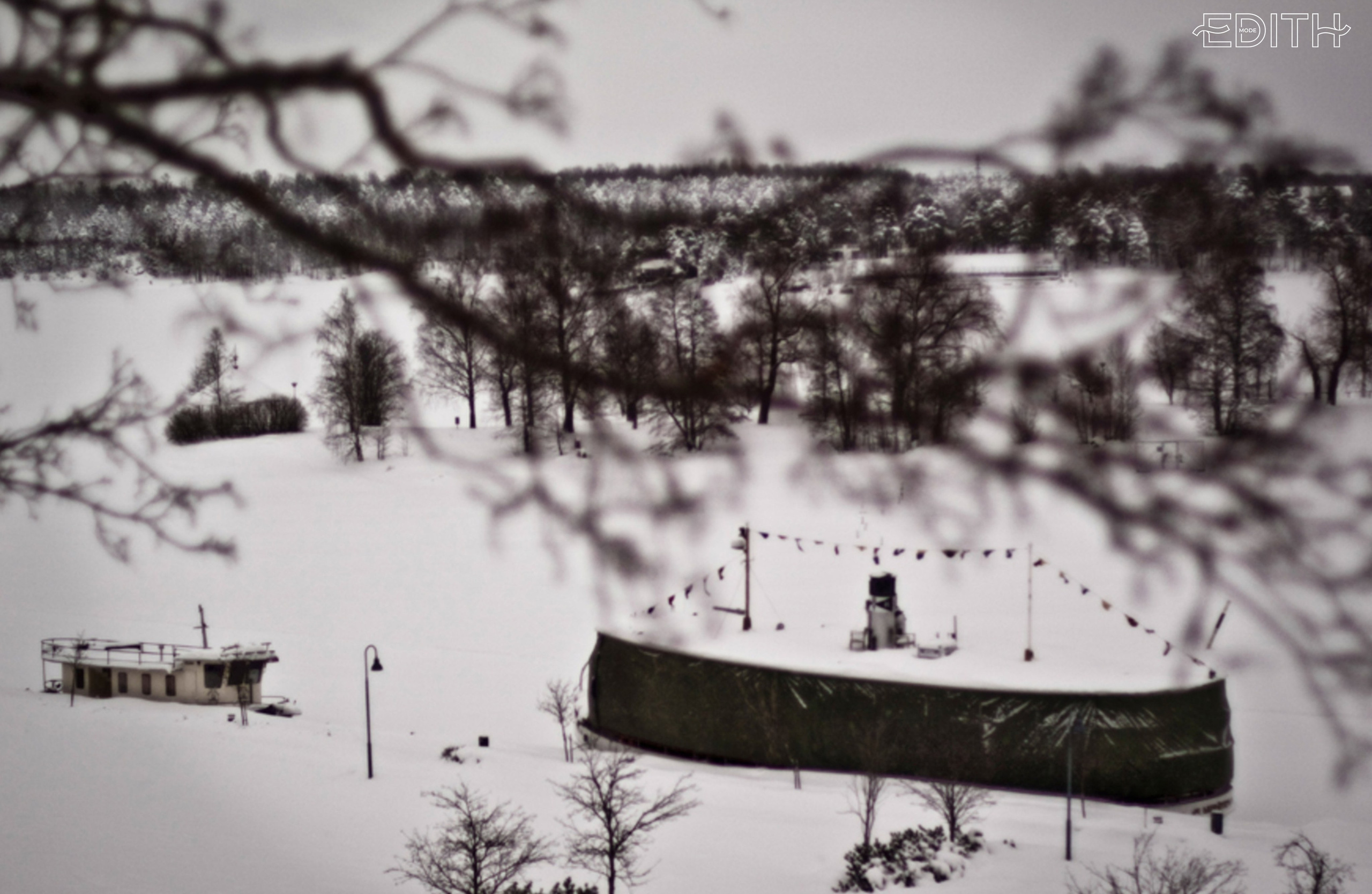 Edith Mode. Фотограф Александра Степанова