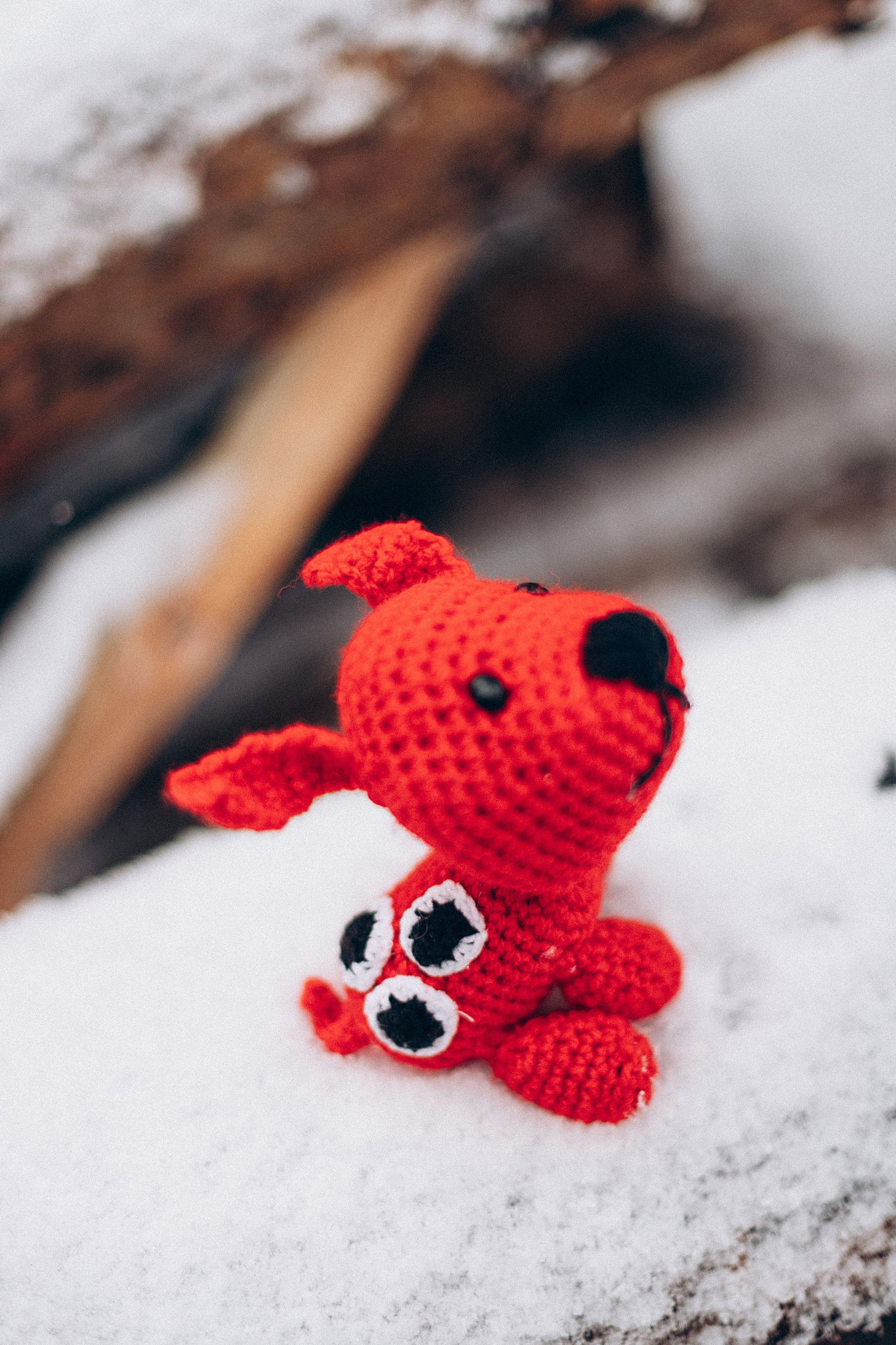 Варежка. Репортажный и детский фотограф в Минске