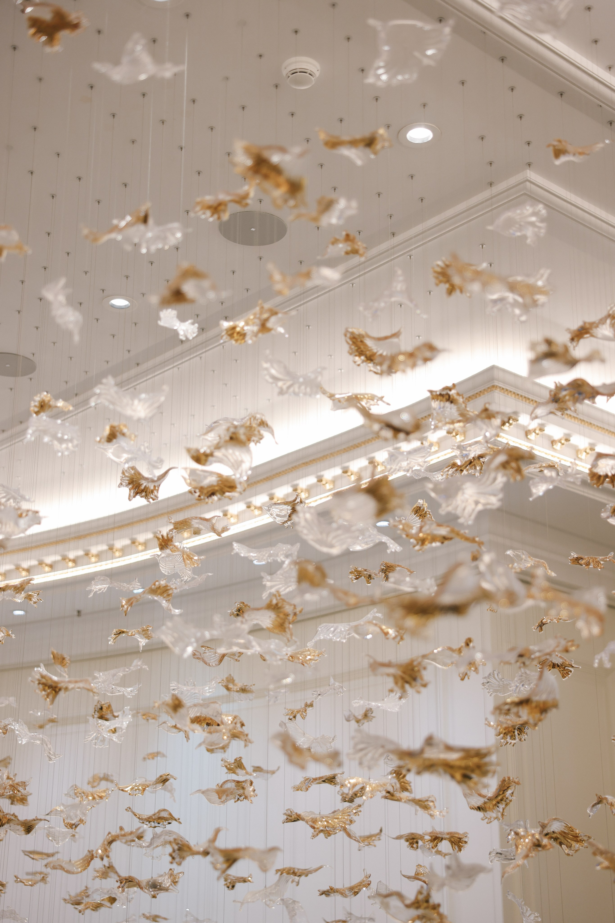 So chamber big day. Свадебный фотограф Светлана Кот | Москва