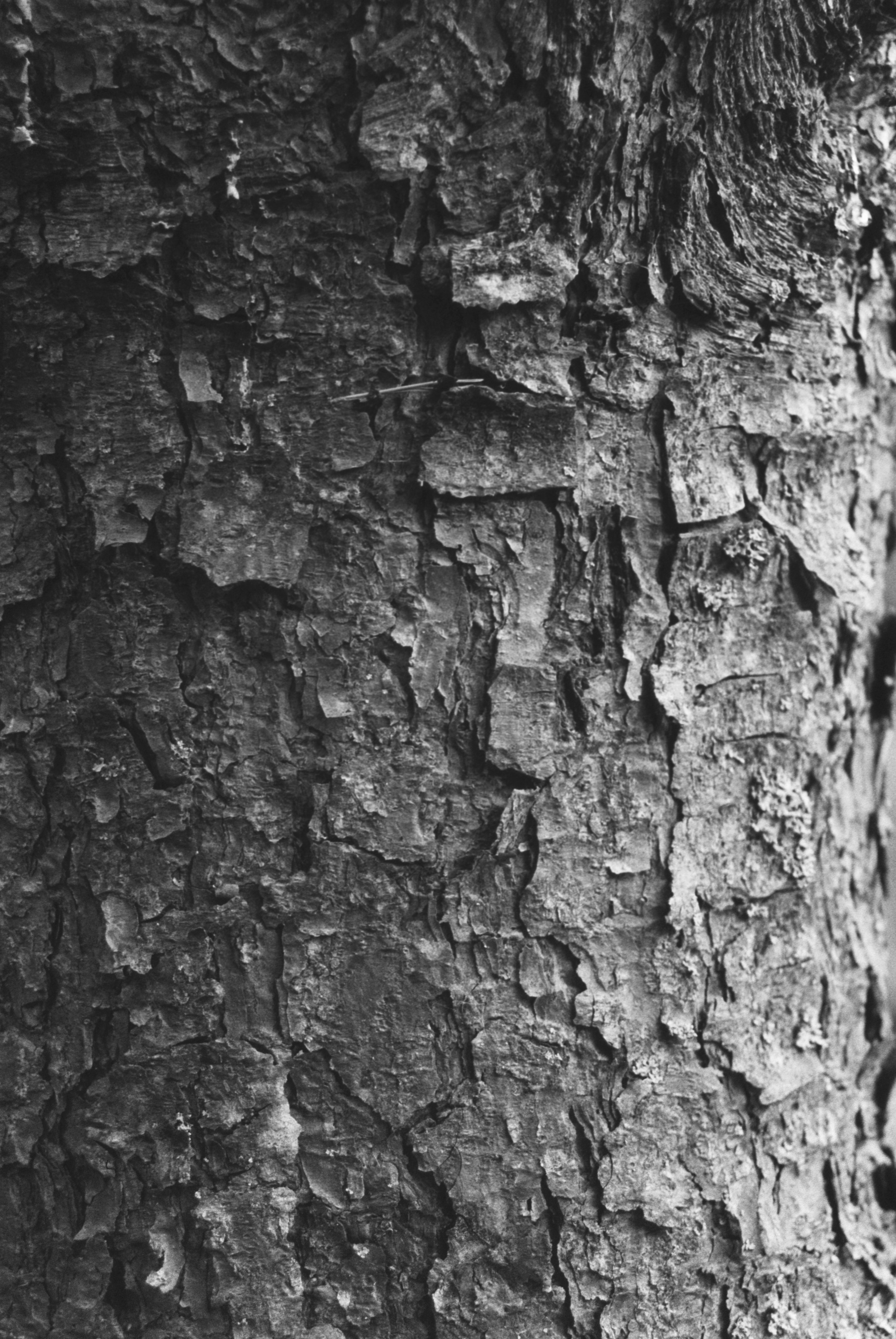 Путешествия. Anastasiia Kron