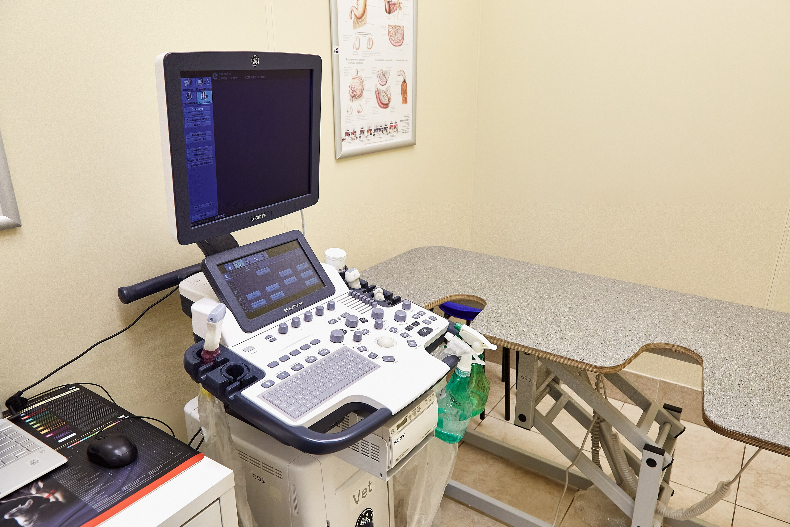 Ветеринарная клиника Косточка на Дальневосточном пр. Фотограф Анастасия Леонтьева Санкт-Петербург