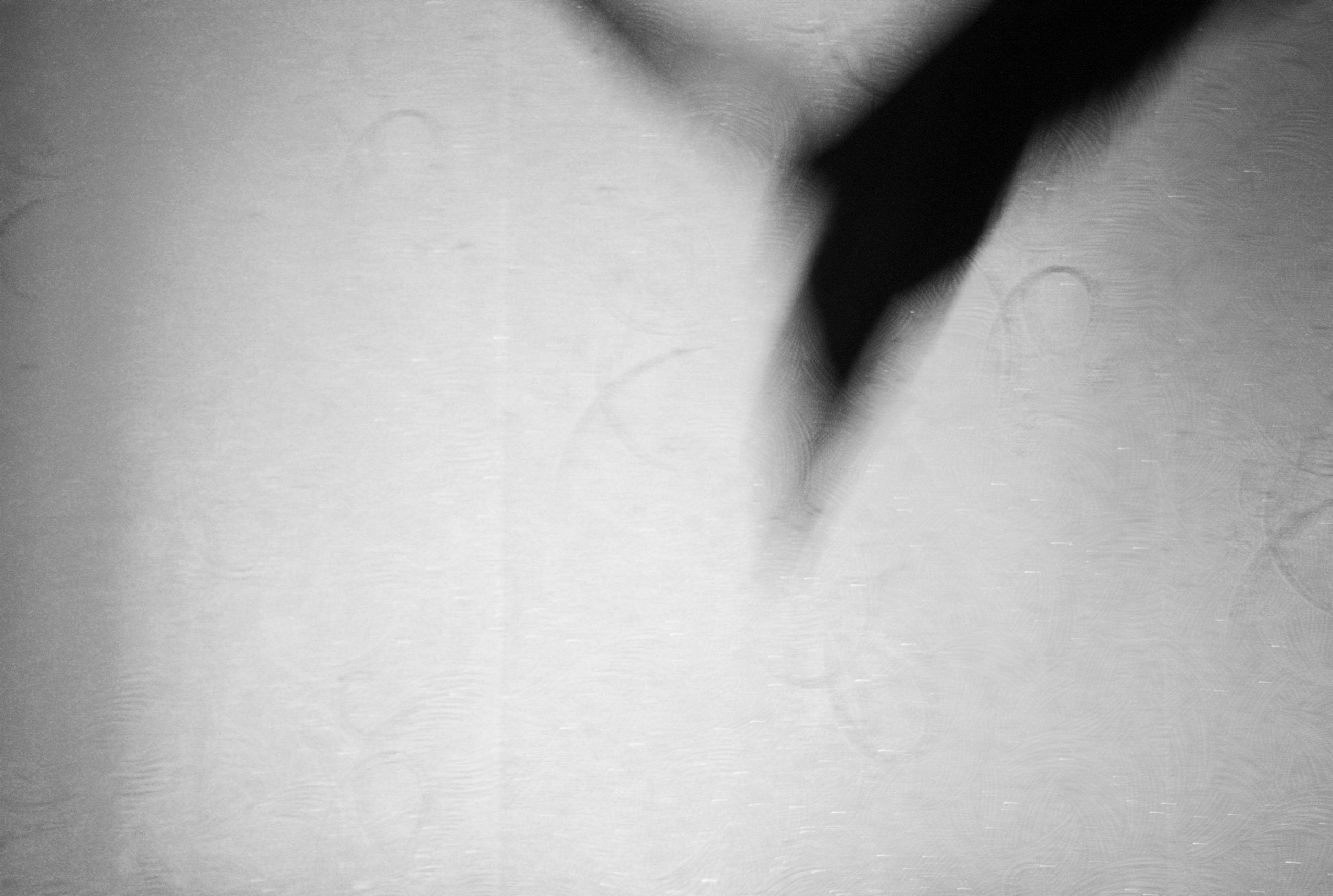 FEAR. Photographer Manakova Olga