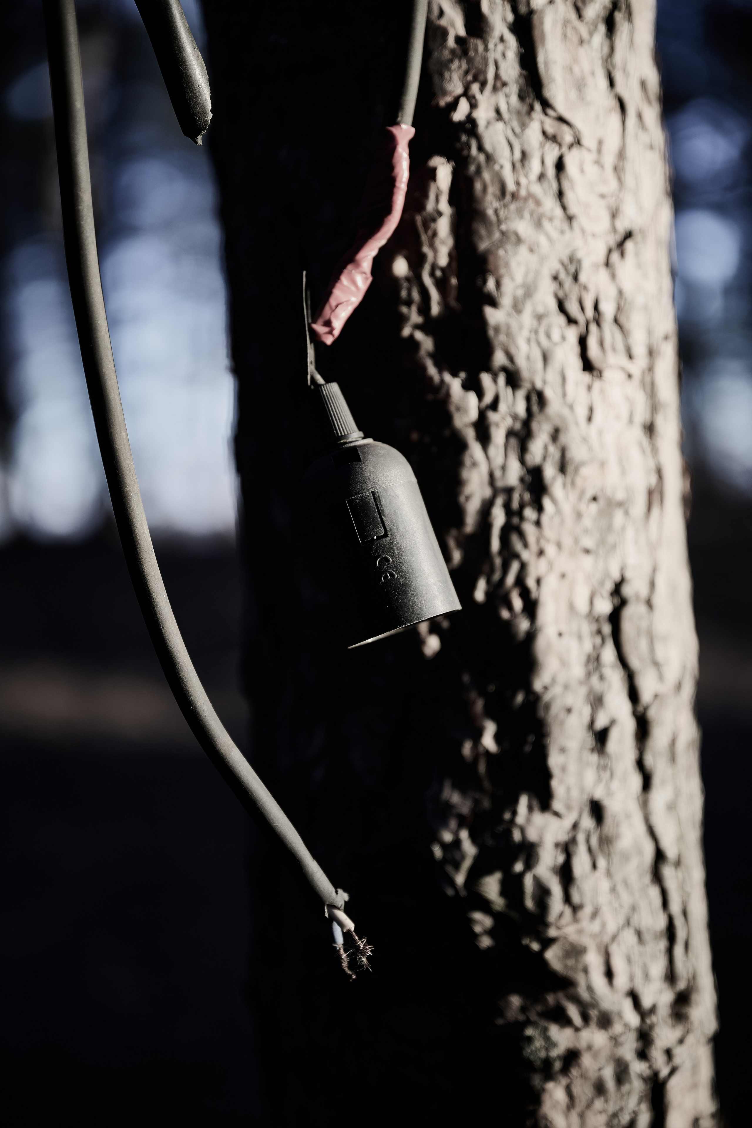 Дороги Территорий. Фотограф Роман Адлер