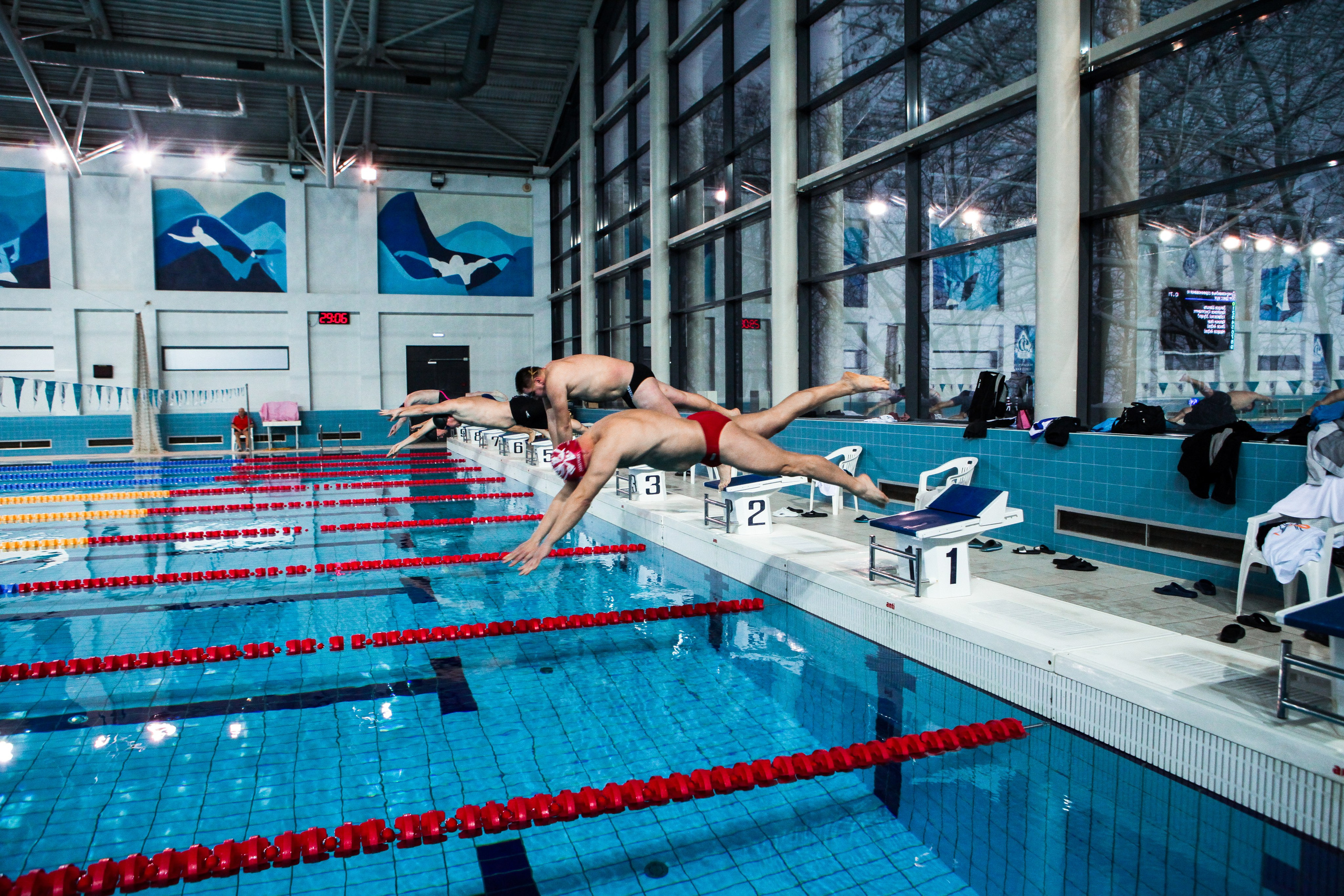 Соревнования по плаванию. Репортажный, семейный, свадебный, портретный фотограф