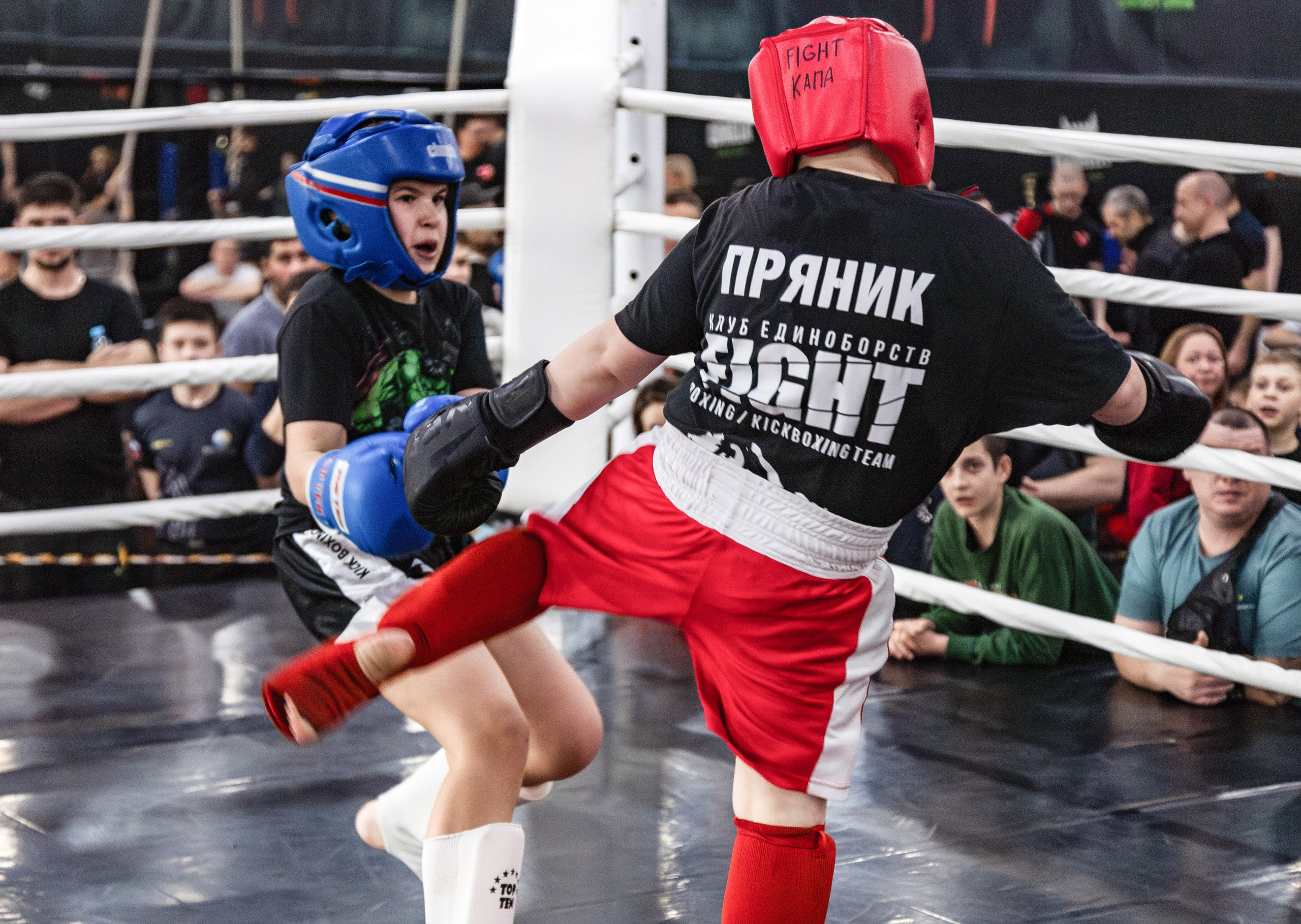 OCTAGON FIGHT IV | СК «Ратиборец». Репортажный фотограф Екатеринбург | Яркий, качественный репортаж | Концерты, клубы, репортаж, праздники, корпоративы