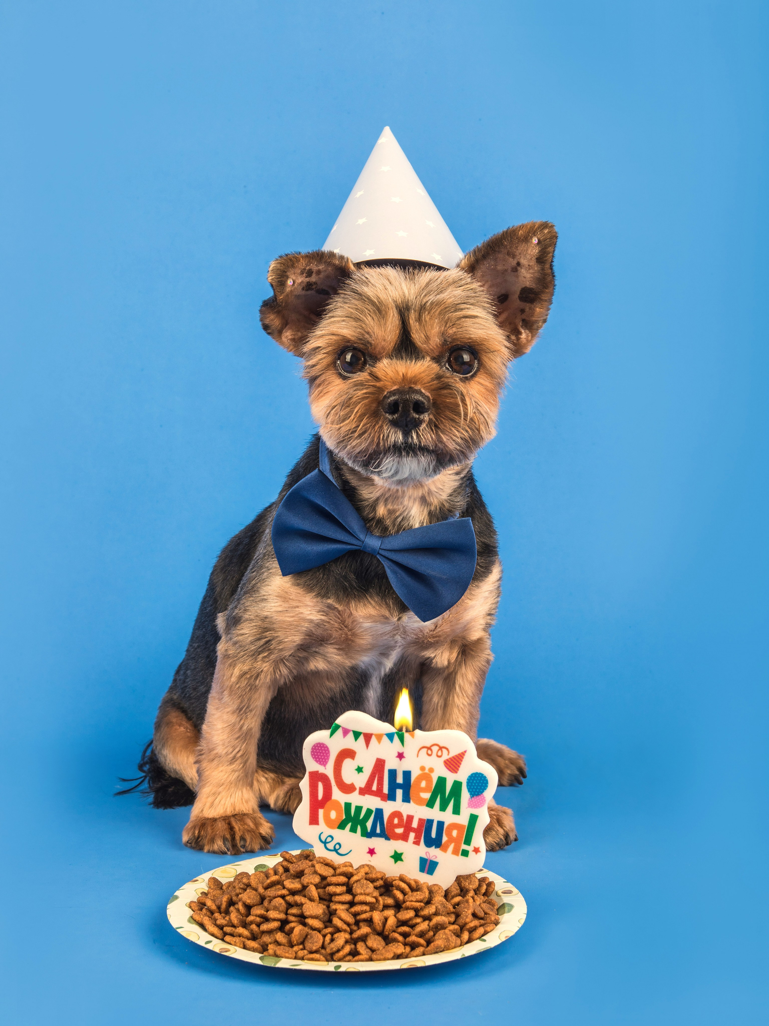 Серии. Предметный и семейный фотограф в Санкт-Петербурге Катерина Стеклова