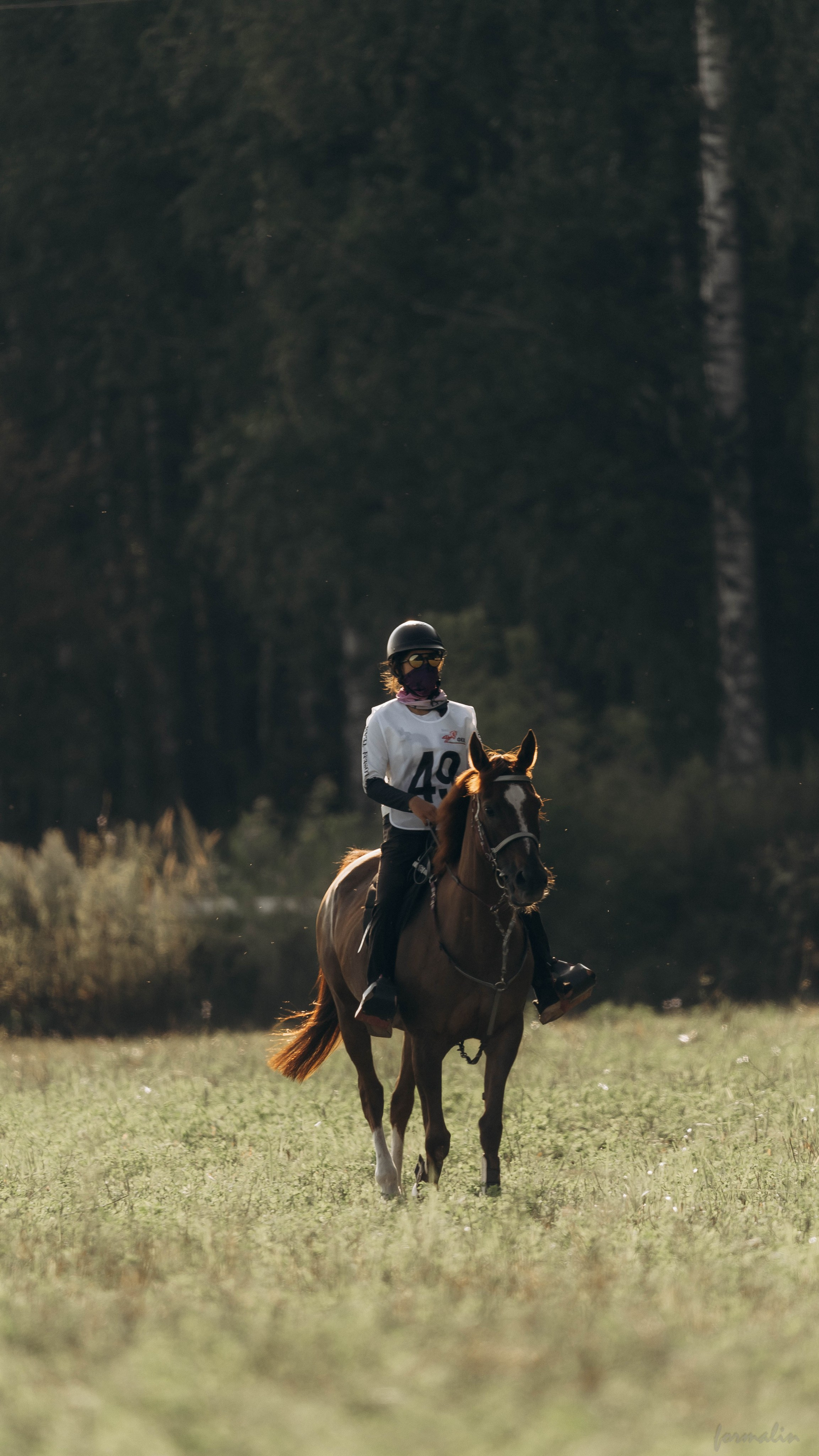 День Коня. Алиса Никитцова | Фотограф в Казани