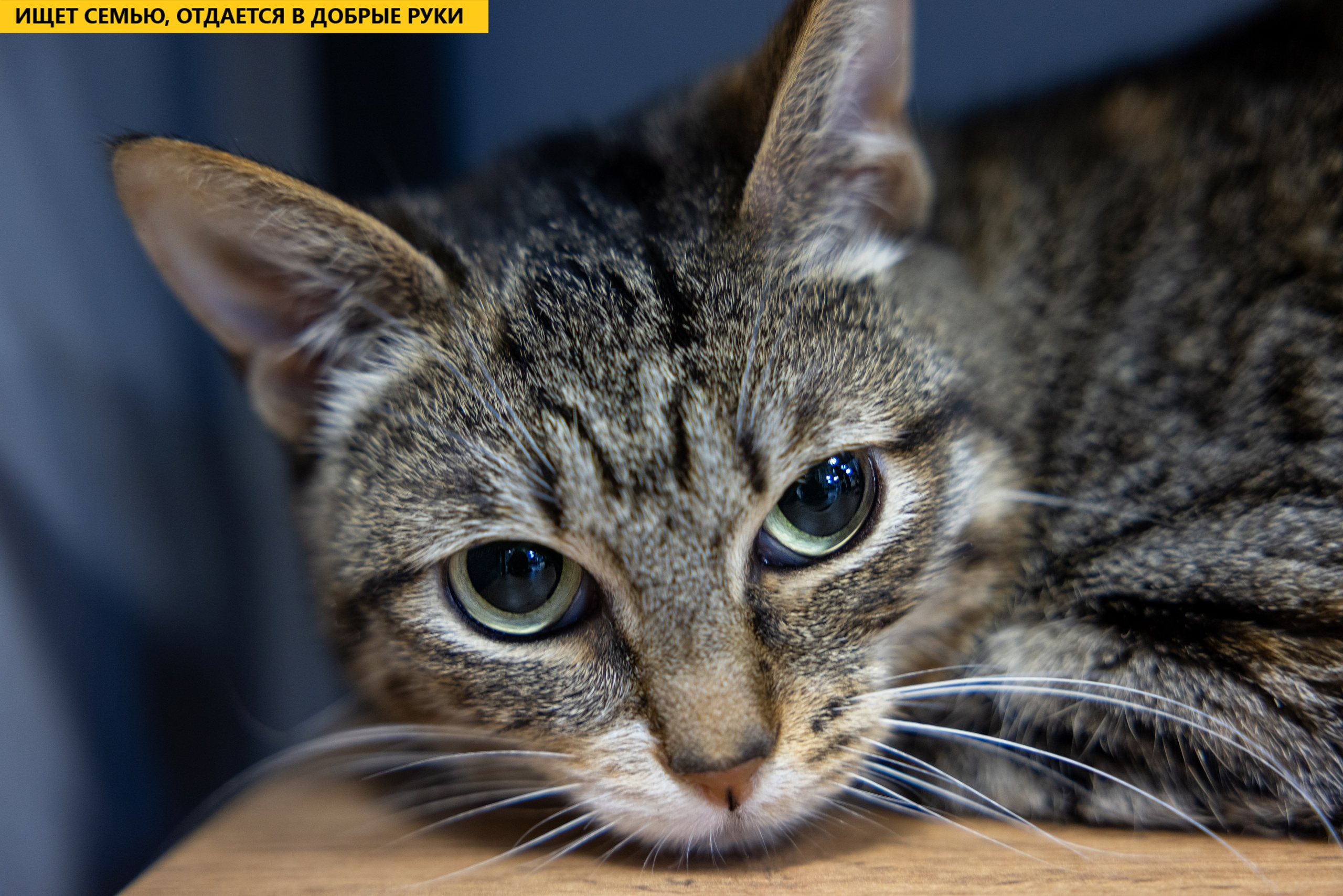 Рекламная съемка в Москве. Геннадий Степанов —фотограф в Москве